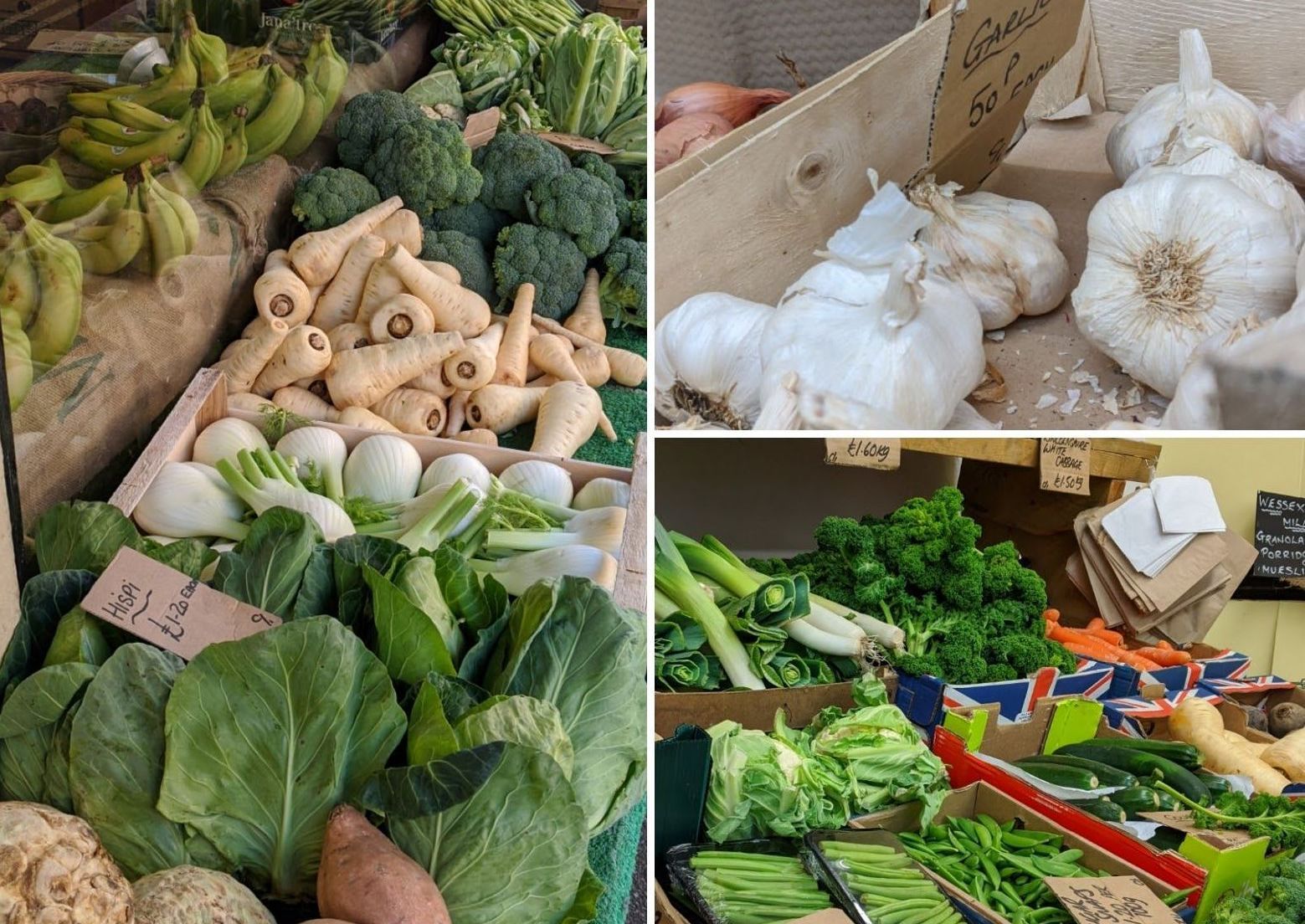 Going Organic is a Journey by Sue Cartwright, Spiral Leaf