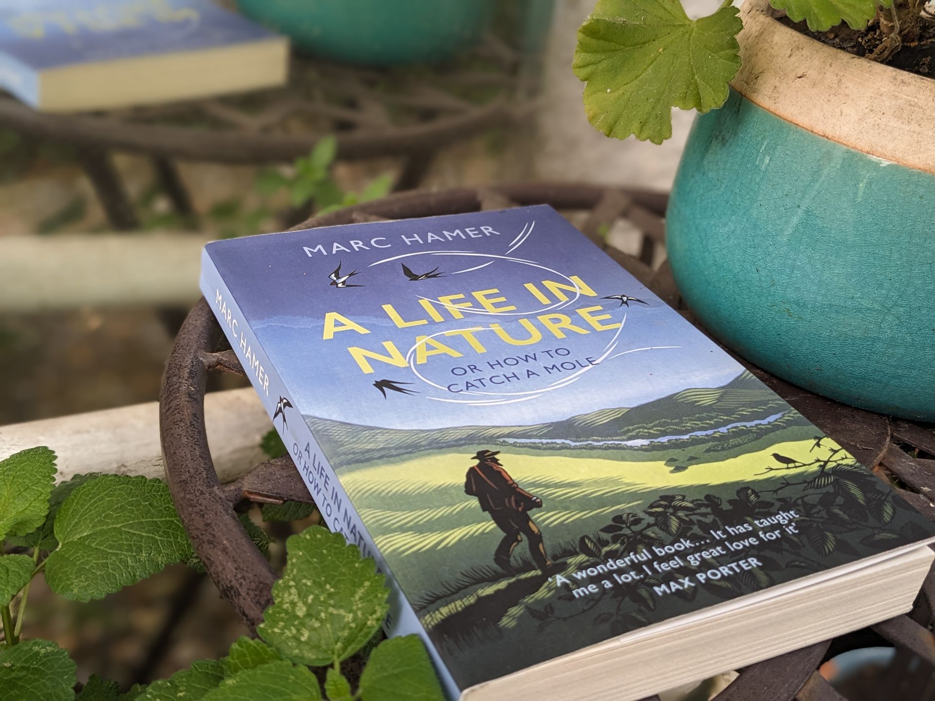 A Life In Nature Or How To Catch A Mole by Marc Hamer - Book Review by Sue Cartwright, Spiral Leaf A Life In Nature Or How To Catch A Mole by Marc Hamer - Book Review by Sue Cartwright, Spiral Leaf