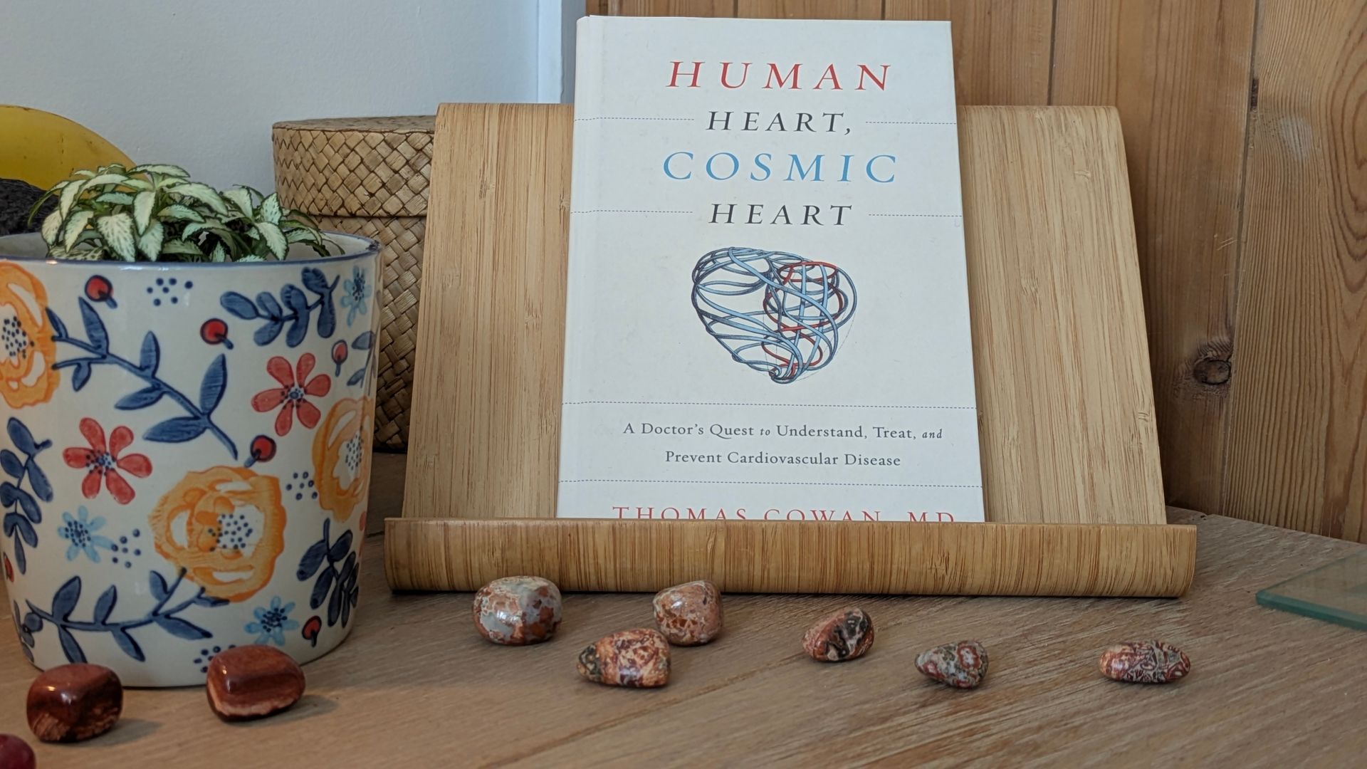 Human Heart, Cosmic Heart by Thomas Cowan MD - Book Review by Sue Cartwright, Spiral Leaf Human Heart, Cosmic Heart by Thomas Cowan MD - A Book Review by Sue Cartwright, Spiral Leaf