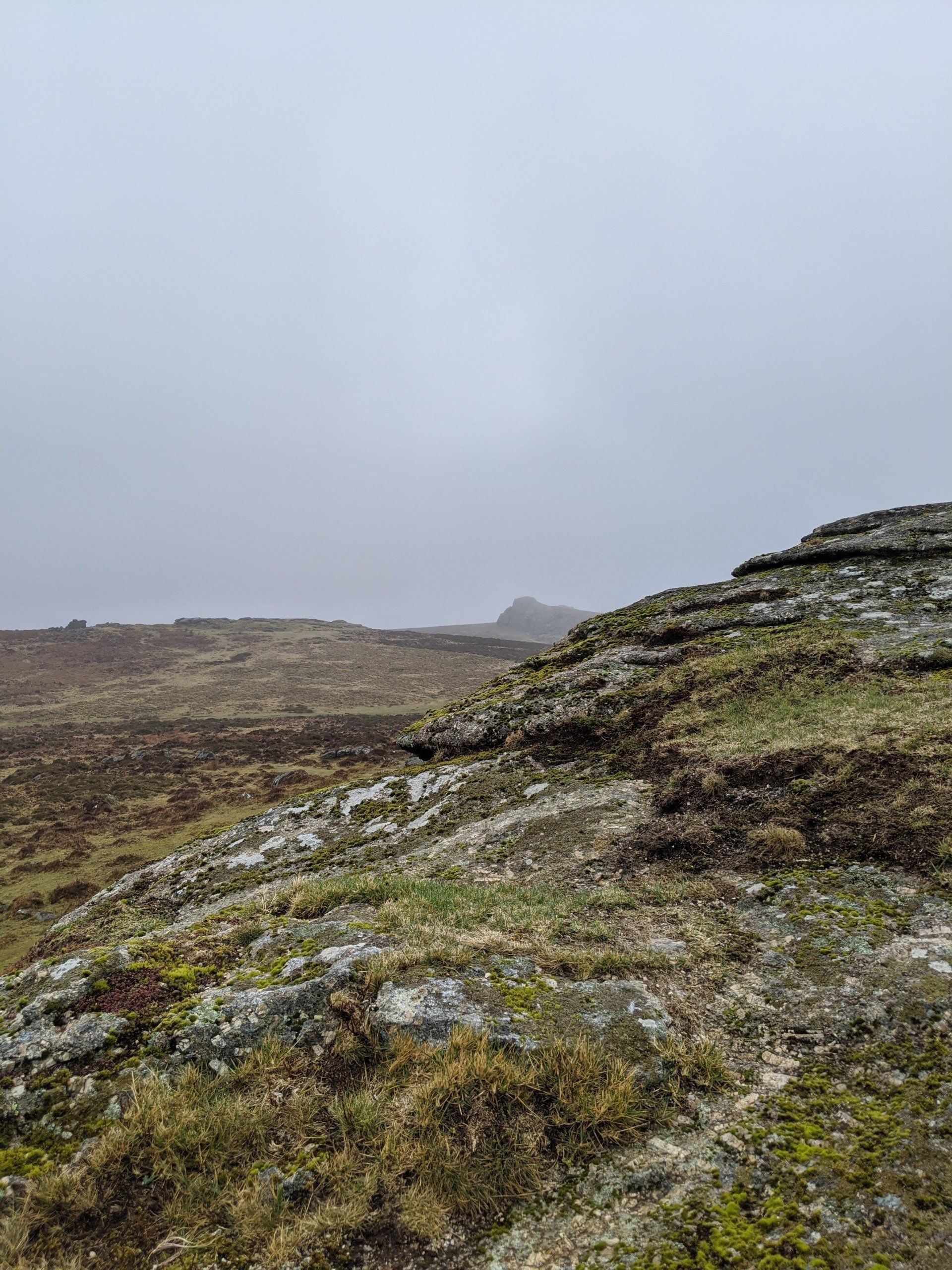 Lady Of The Moor - A Poem by Sue Cartwright, Spiral Leaf