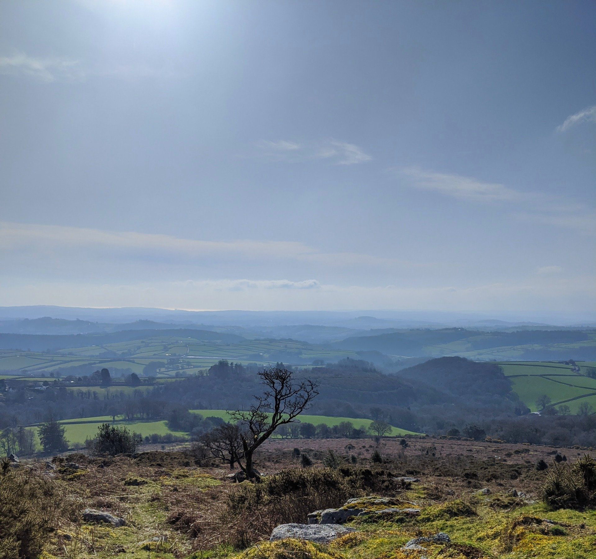Things to do in Nature in March by Sue Cartwright, Spiral Leaf