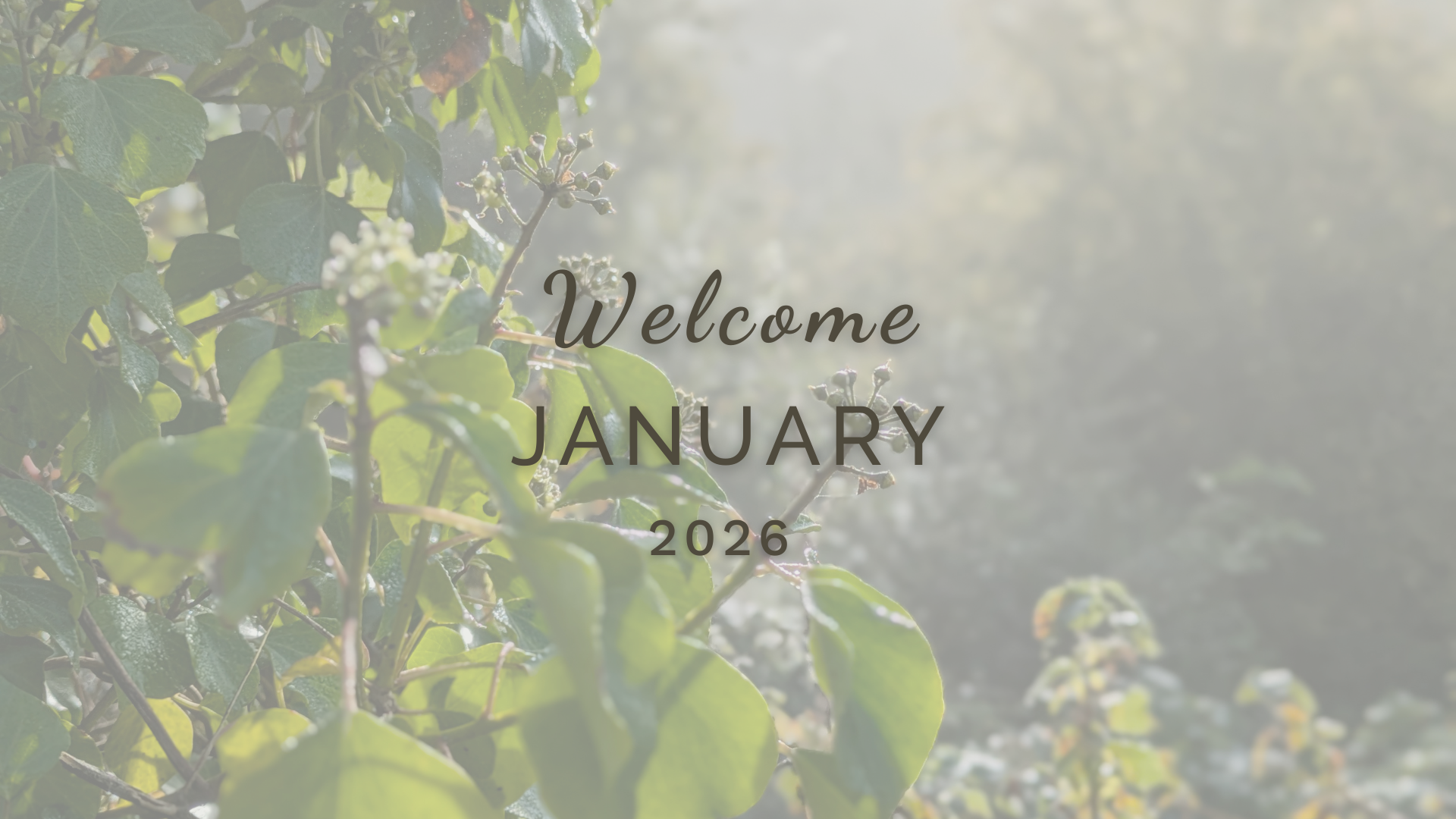 Welcome January (Almanac 2026) by Sue Cartwright, Spiral Leaf Welcome January (Almanac 2026) by Sue Cartwright, Spiral Leaf