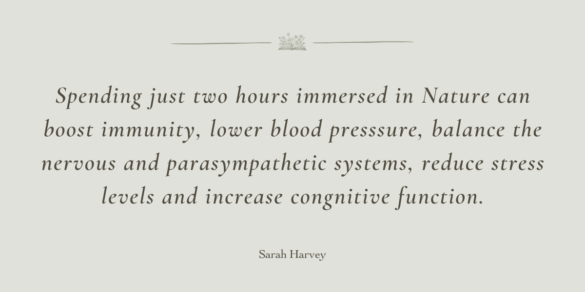 Kaizen for Transforming Habits by Sarah Harvey - A Book Review by Sue Cartwright, Spiral Leaf Kaizen for Transforming Habits by Sarah Harvey - A Book Review by Sue Cartwright, Spiral Leaf