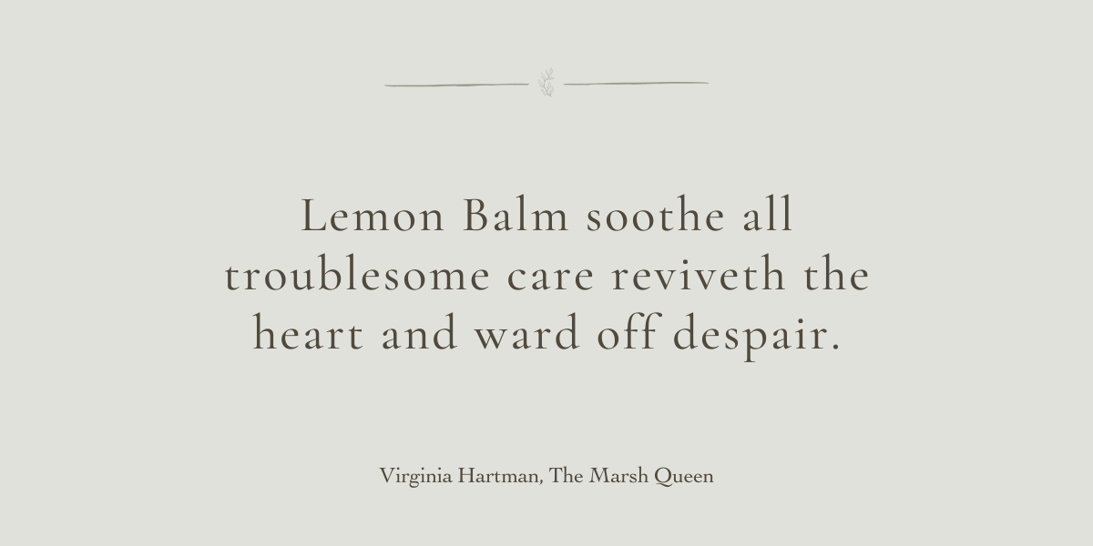 A Healing Herb (Lemon Balm) by Sue Cartwright, Spiral Leaf A Healing Herb (Lemon Balm) by Sue Cartwright, Spiral Leaf
