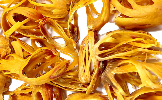 A Healing Spice (Mace) by Sue Cartwright, Spiral Leaf
