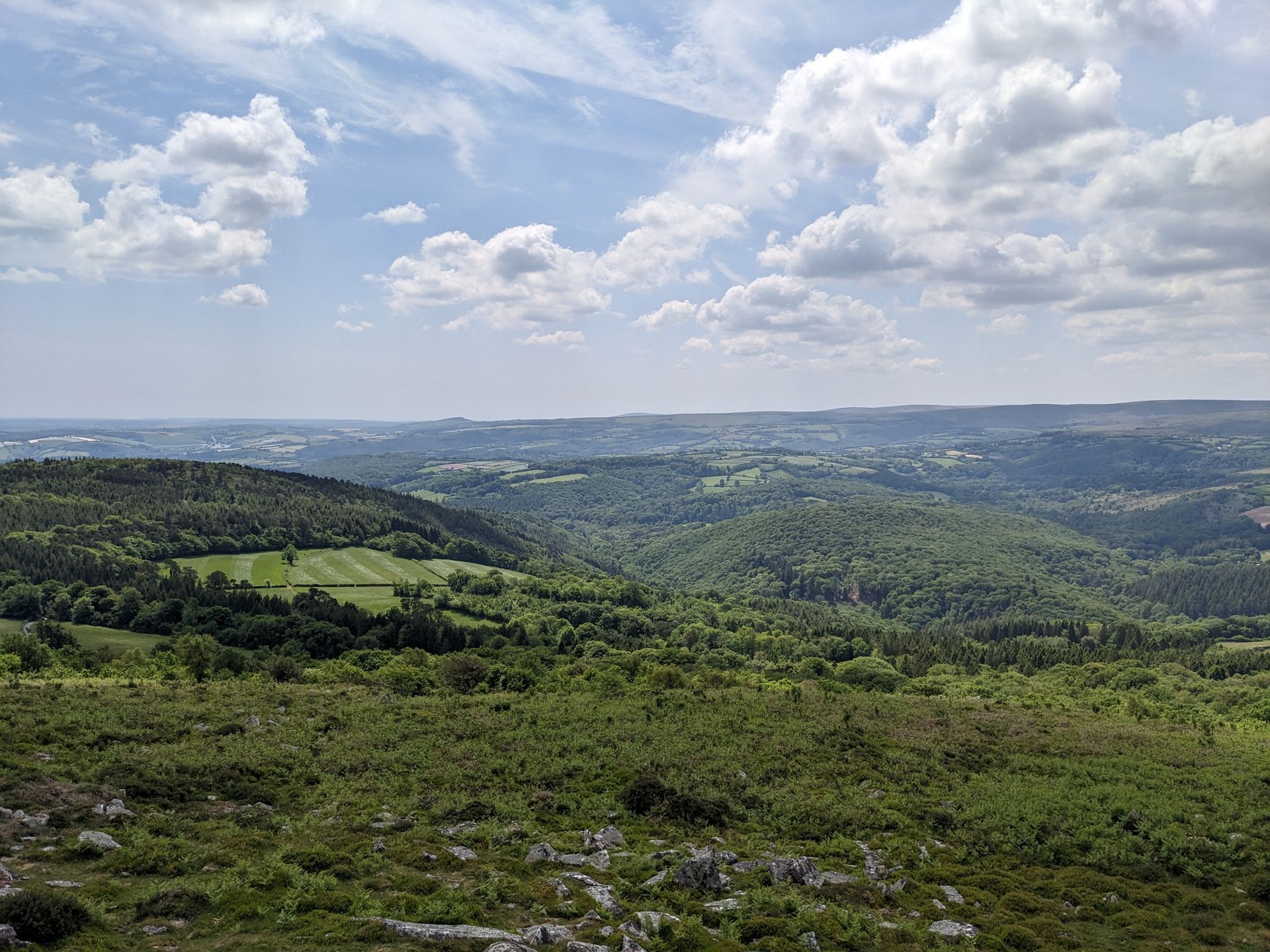 The Moor by William Atkins - A Book Review by Sue Cartwright
