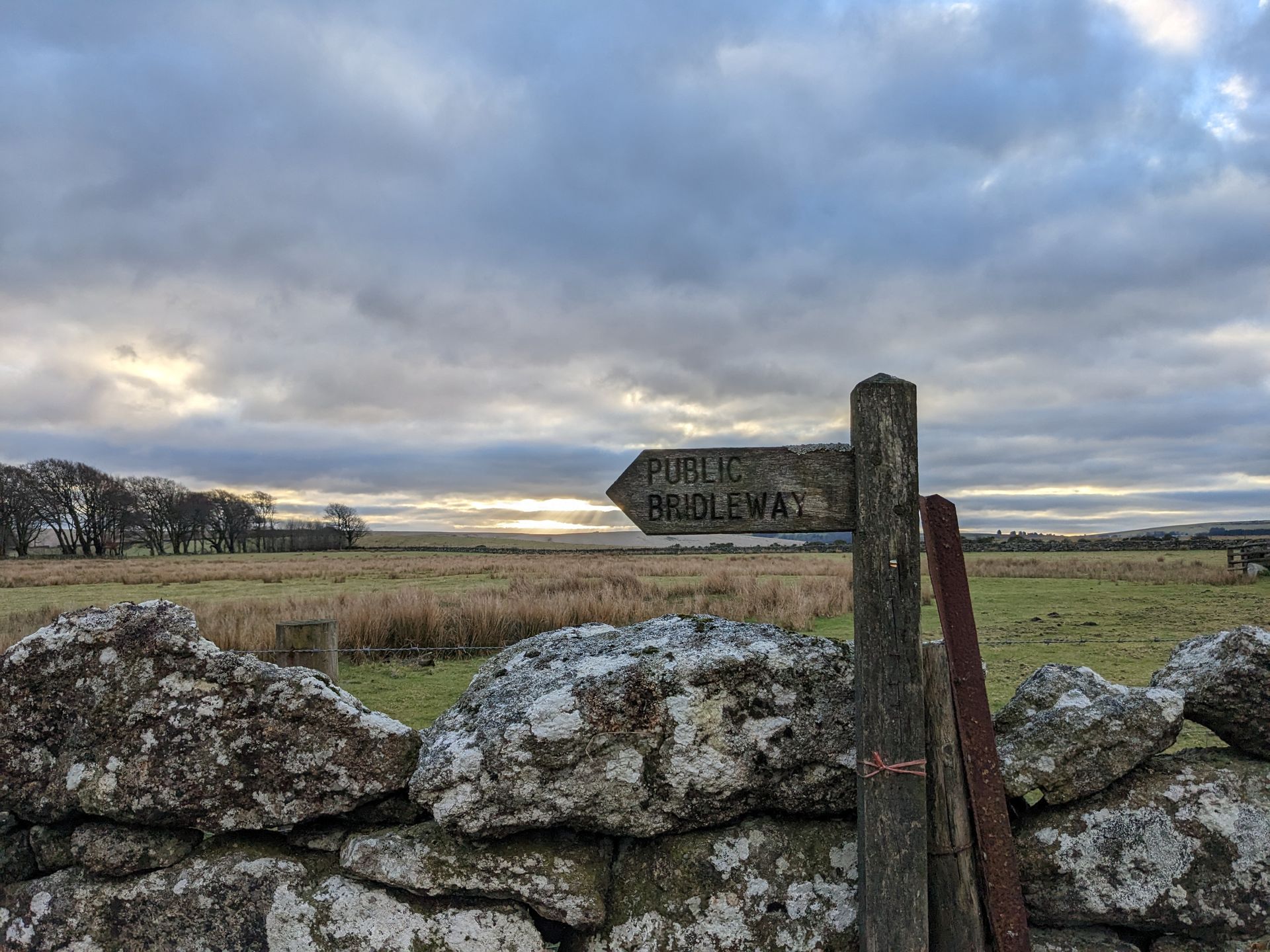 The Moor by William Atkins - A Book Review by Sue Cartwright