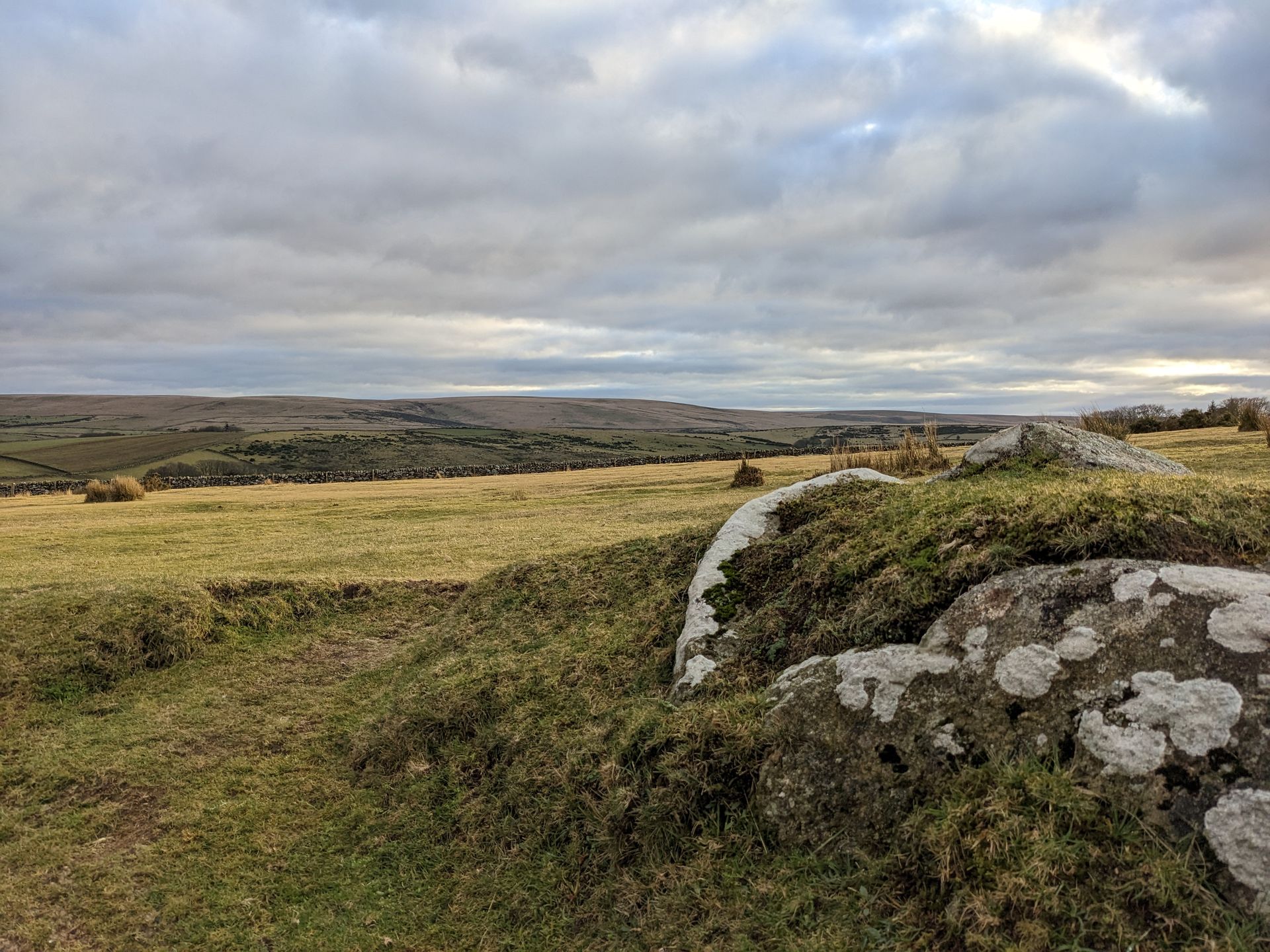 The Moor by William Atkins - A Book Review by Sue Cartwright