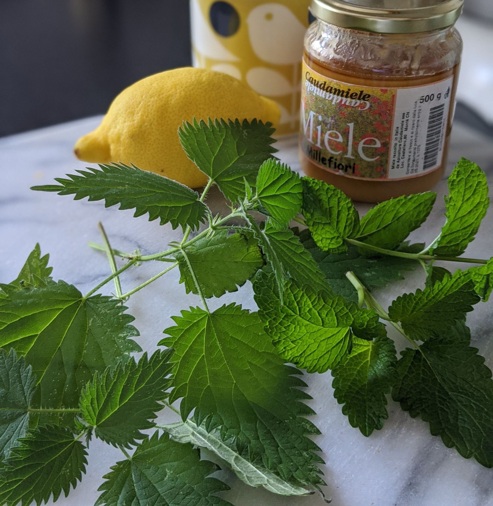 Refreshing and Cleansing Nettle Tea - A Remedy by Sue Cartwright, Spiral Leaf