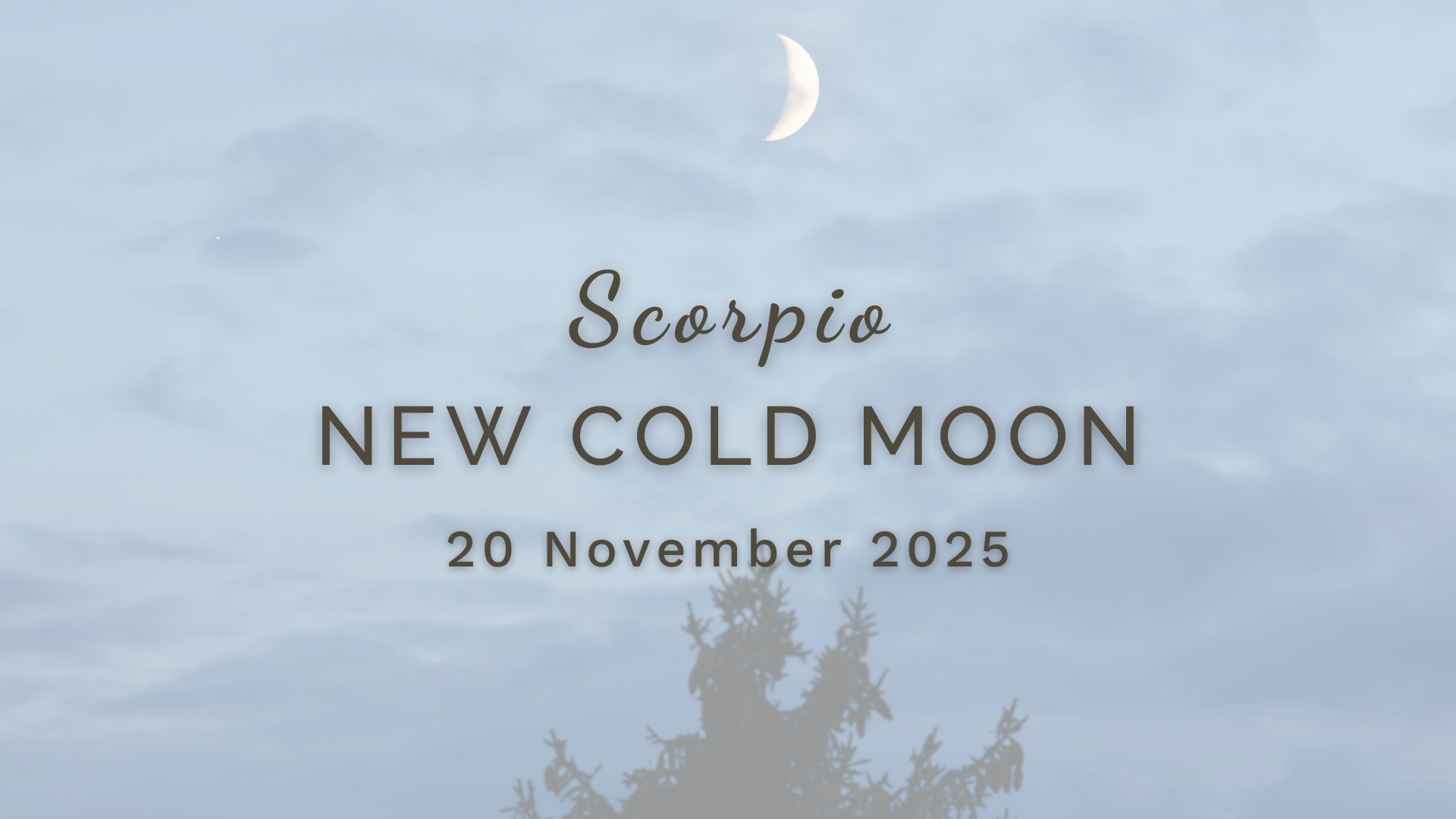 New Cold Moon in Scorpio - Thursday 20 November (2025) by Sue Cartwright, Spiral Leaf