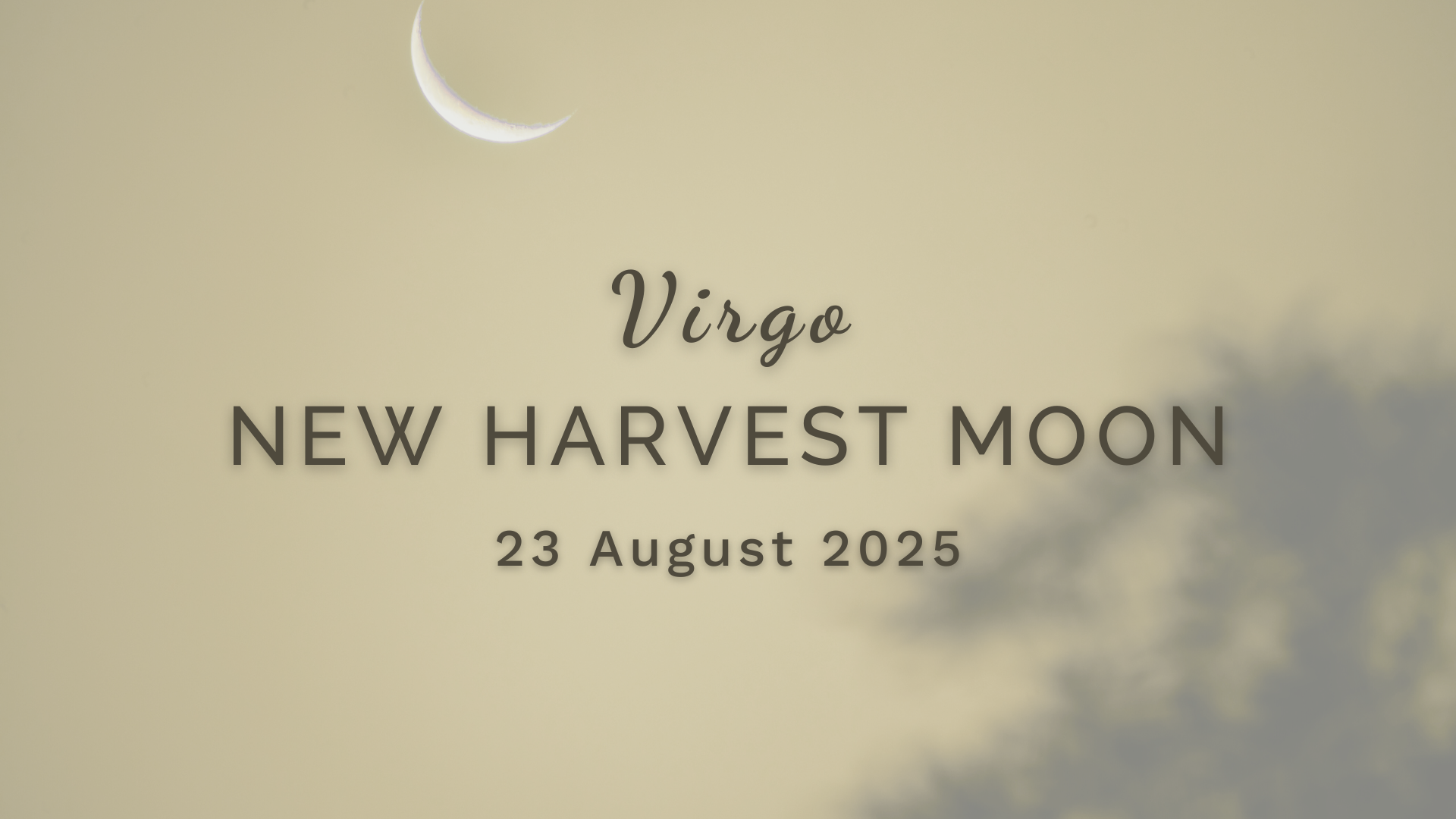 New Harvest Moon in  Virgo - Saturday 23 August (2025) by Sue Cartwright, Spiral Leaf