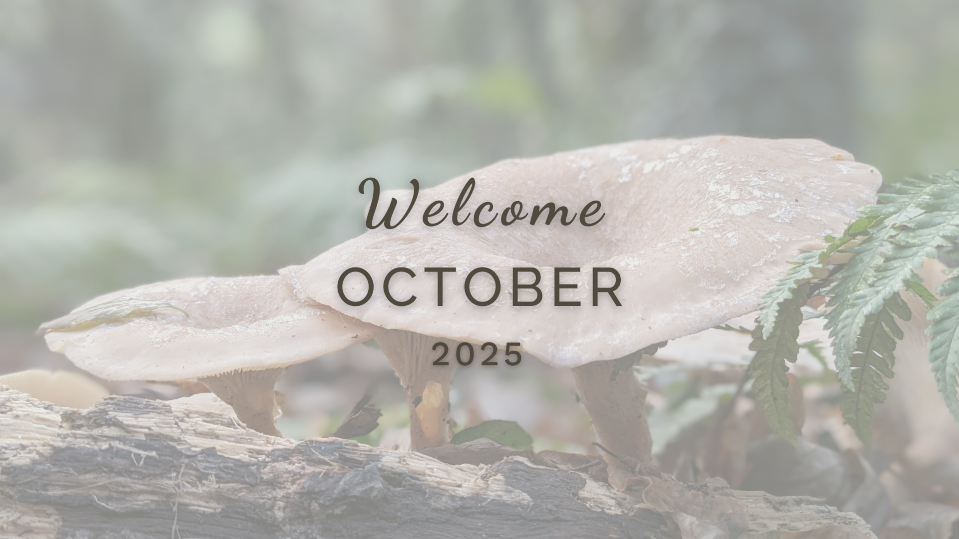 Welcome October (Almanac 2025) by Sue Cartwright, Spiral Leaf