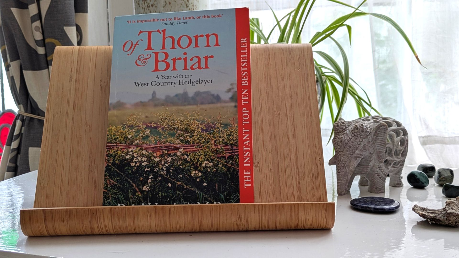 Of Briar and Thorn by Paul Lamb - A Book Review by Sue Cartwright, Spiral Leaf Of Briar and Thorn by Paul Lamb - A Book Review by Sue Cartwright, Spiral Leaf