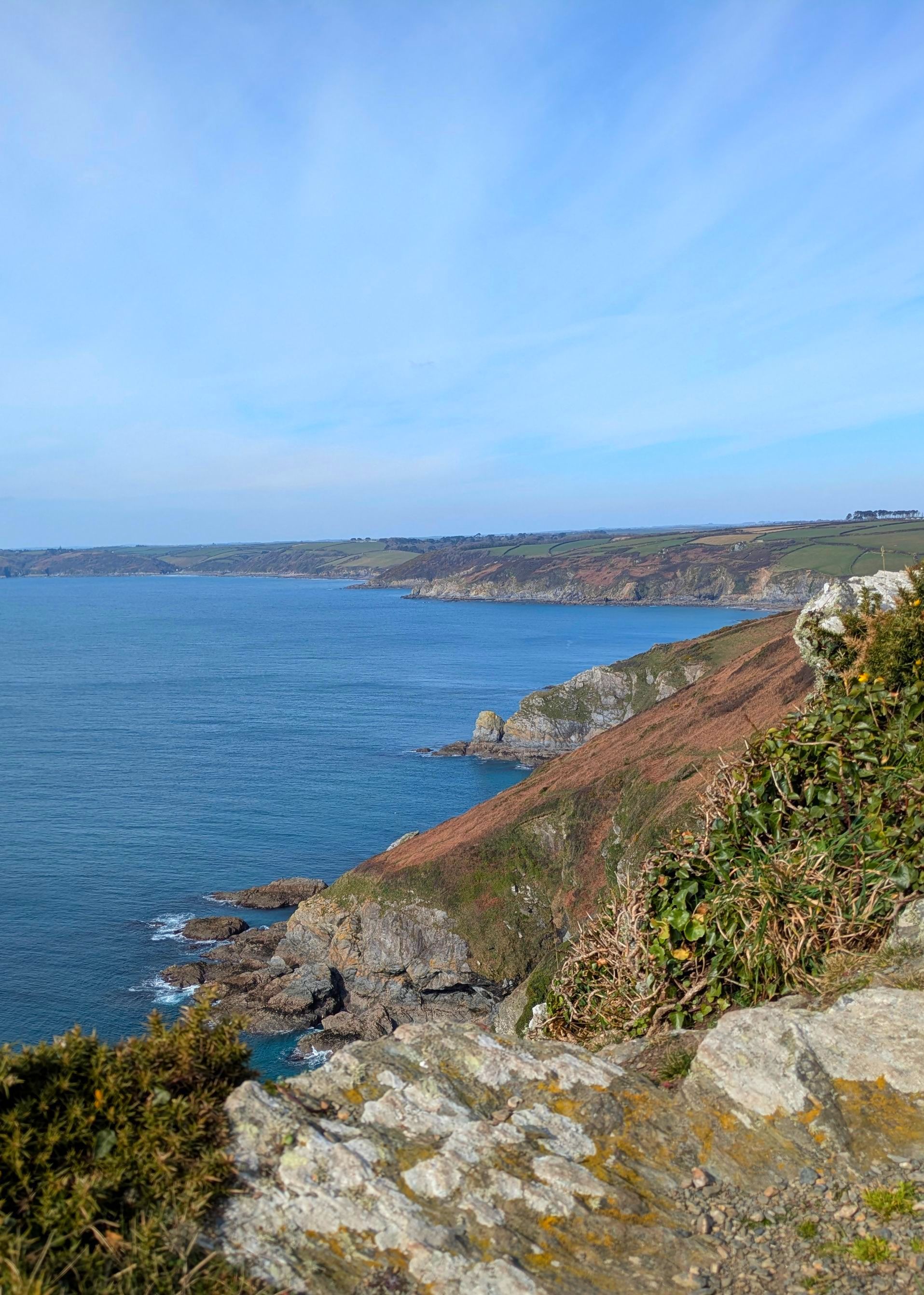 Coastal Path Gallery by Sue Cartwright, Spiral Leaf