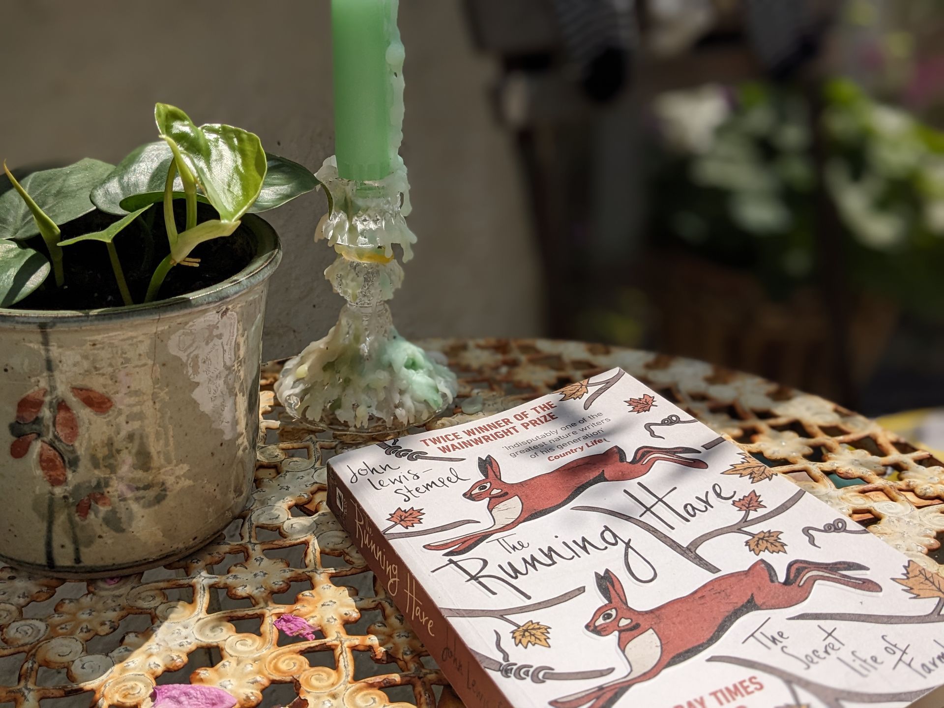 The Running Hare by John Lewis-Stempel - Book Review by Sue Cartwright, Spiral Leaf The Running Hare by John Lewis-Stempel - Book Review by Sue Cartwright, Spiral Leaf