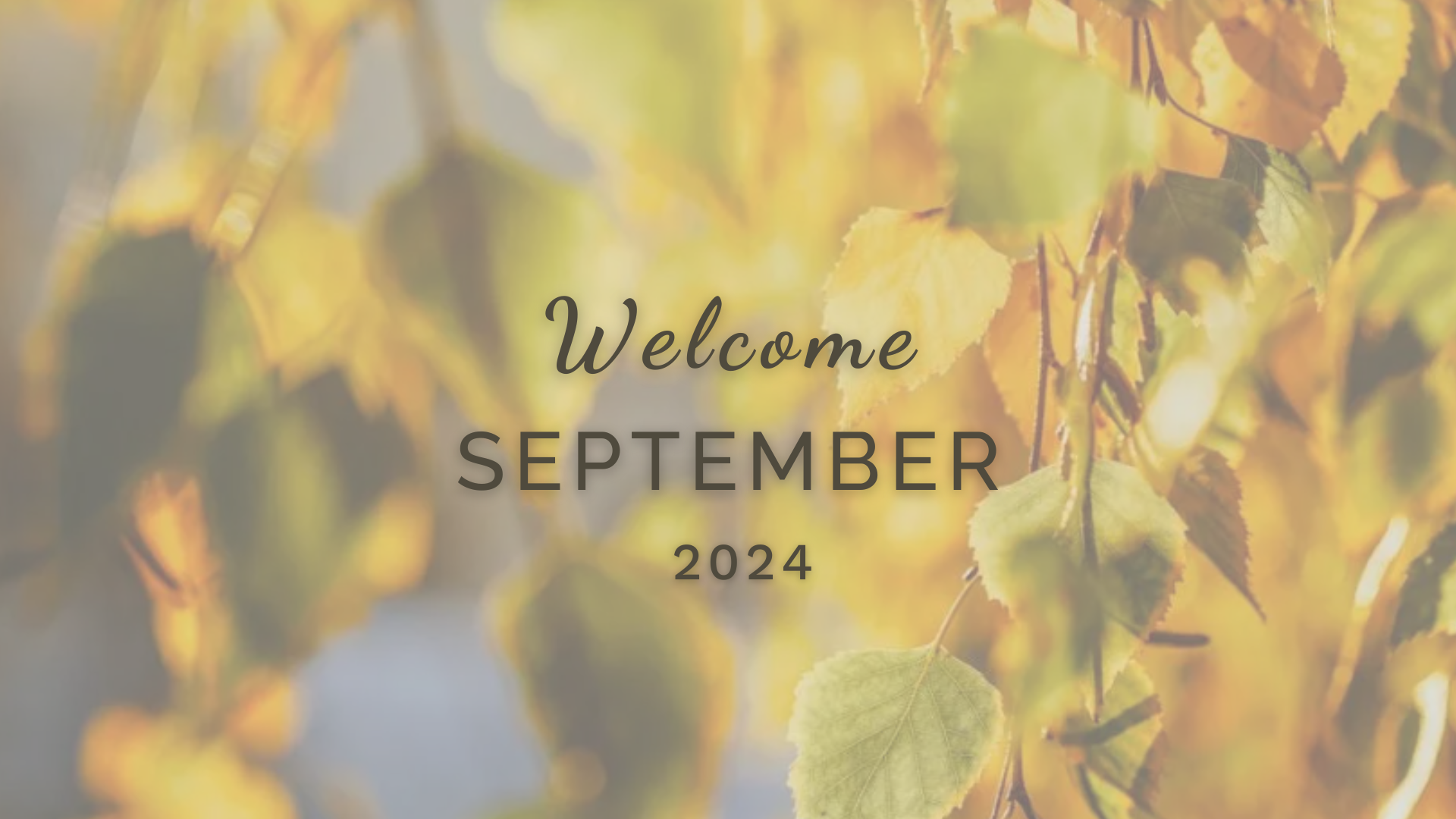 Welcome September (Almanac 2024) by Sue Cartwright, Spiral Leaf Welcome September (Almanac 2024) by Sue Cartwright, Spiral Leaf