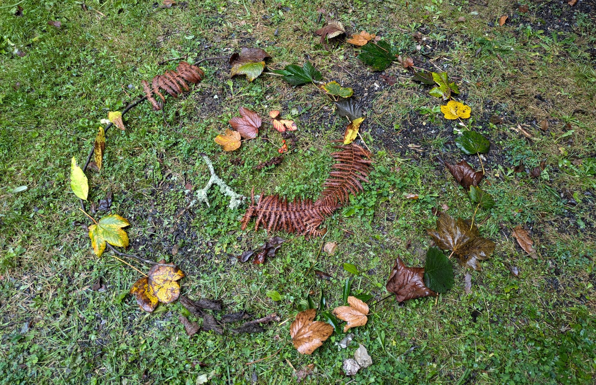 Welcome October (Almanac 2024) by Sue Cartwright, Spiral Leaf Welcome October (Almanac 2024) by Sue Cartwright, Spiral Leaf
