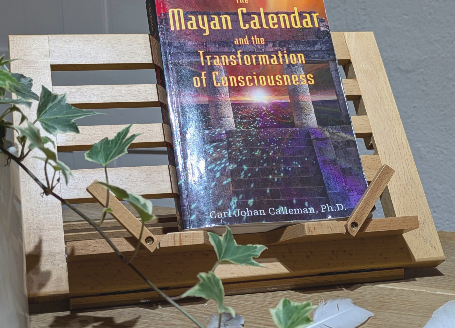 The Mayan Calendar by Carl Johan Calleman PhD - Book Review by Sue Cartwright, Spiral Leaf The Mayan Calendar by Carl Johan Calleman PhD - A Book Review by Sue Cartwright, Spiral Leaf
