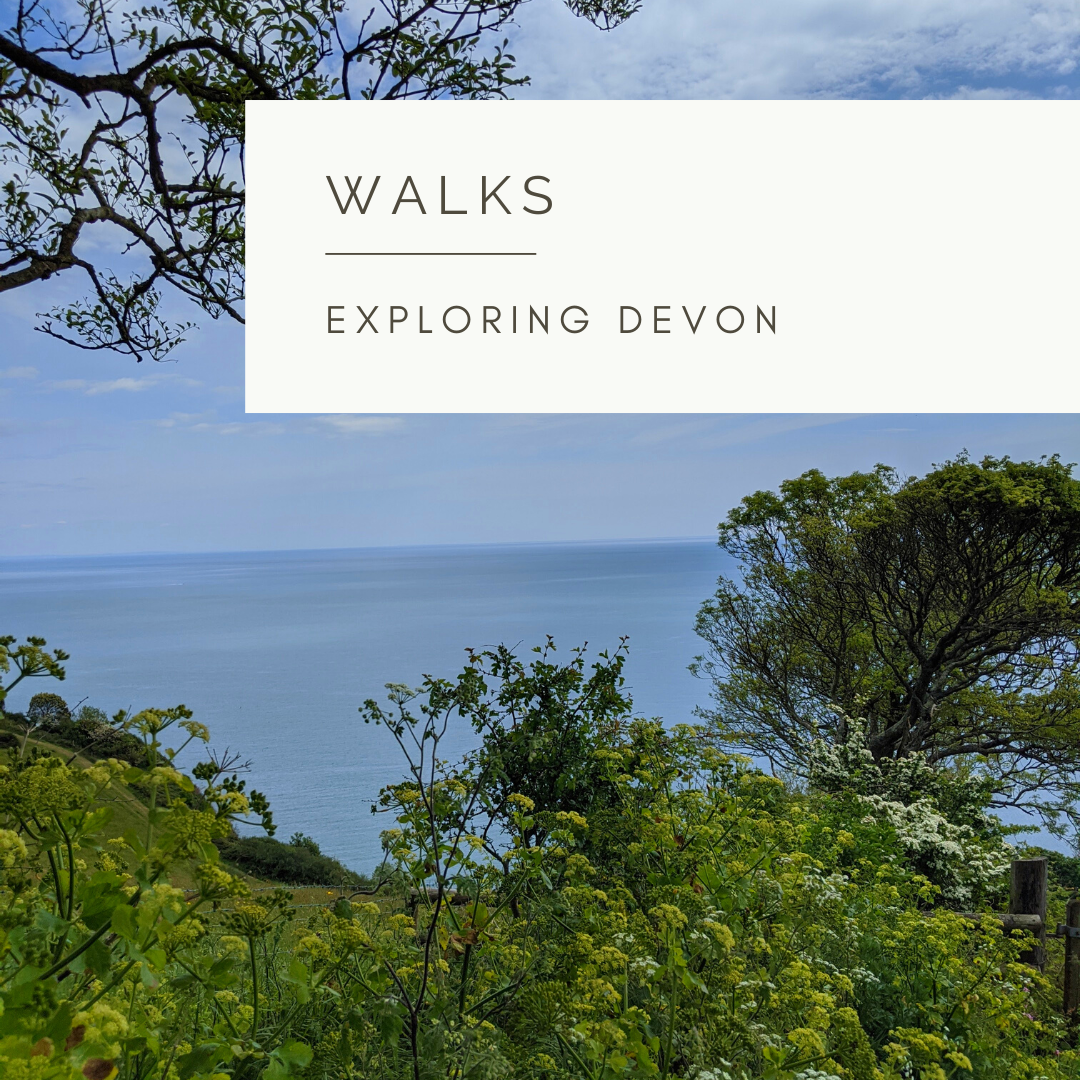 A Walk by the Sea - Poem and Video by Sue Cartwright, Spiral Leaf