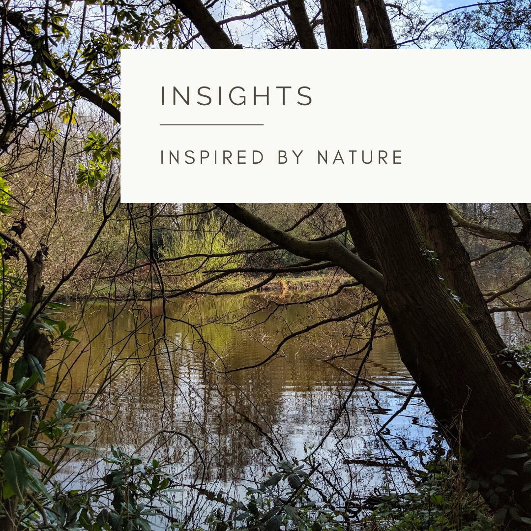Rivers - Poem and Video by Sue Cartwright, Spiral Leaf