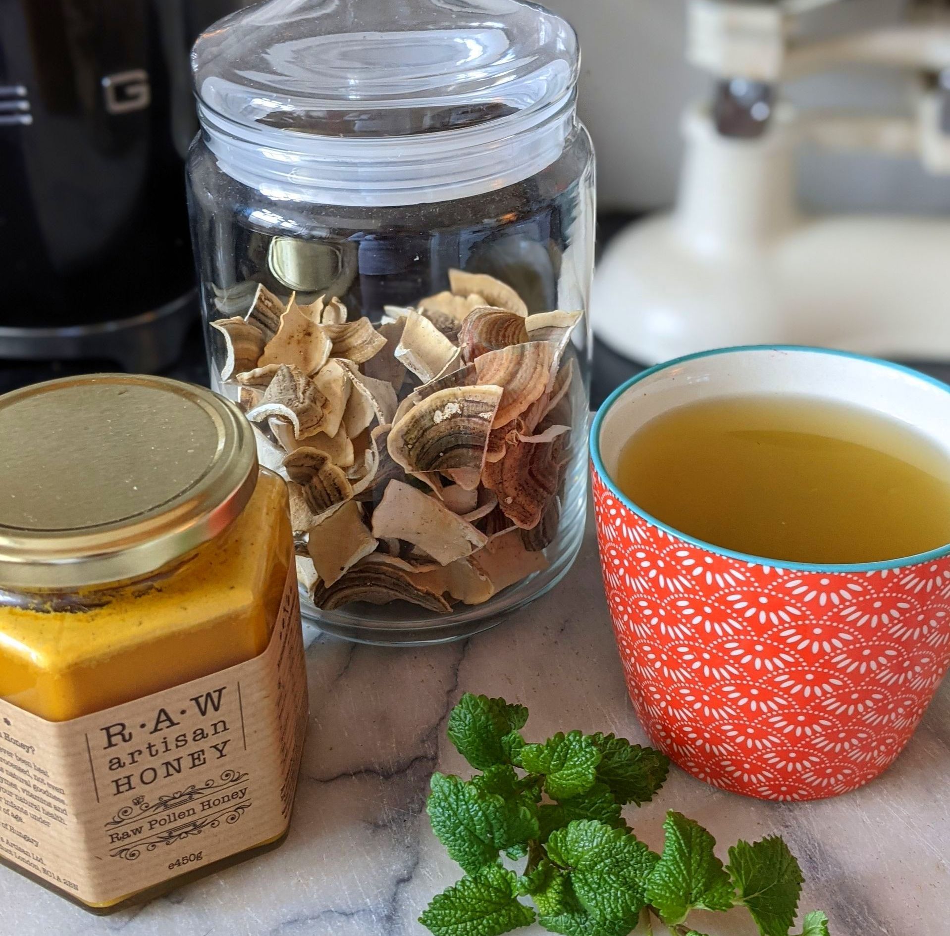 Turbo Boost Turkey Tail Tea - A Remedy by Sue Cartwright, Spiral Leaf