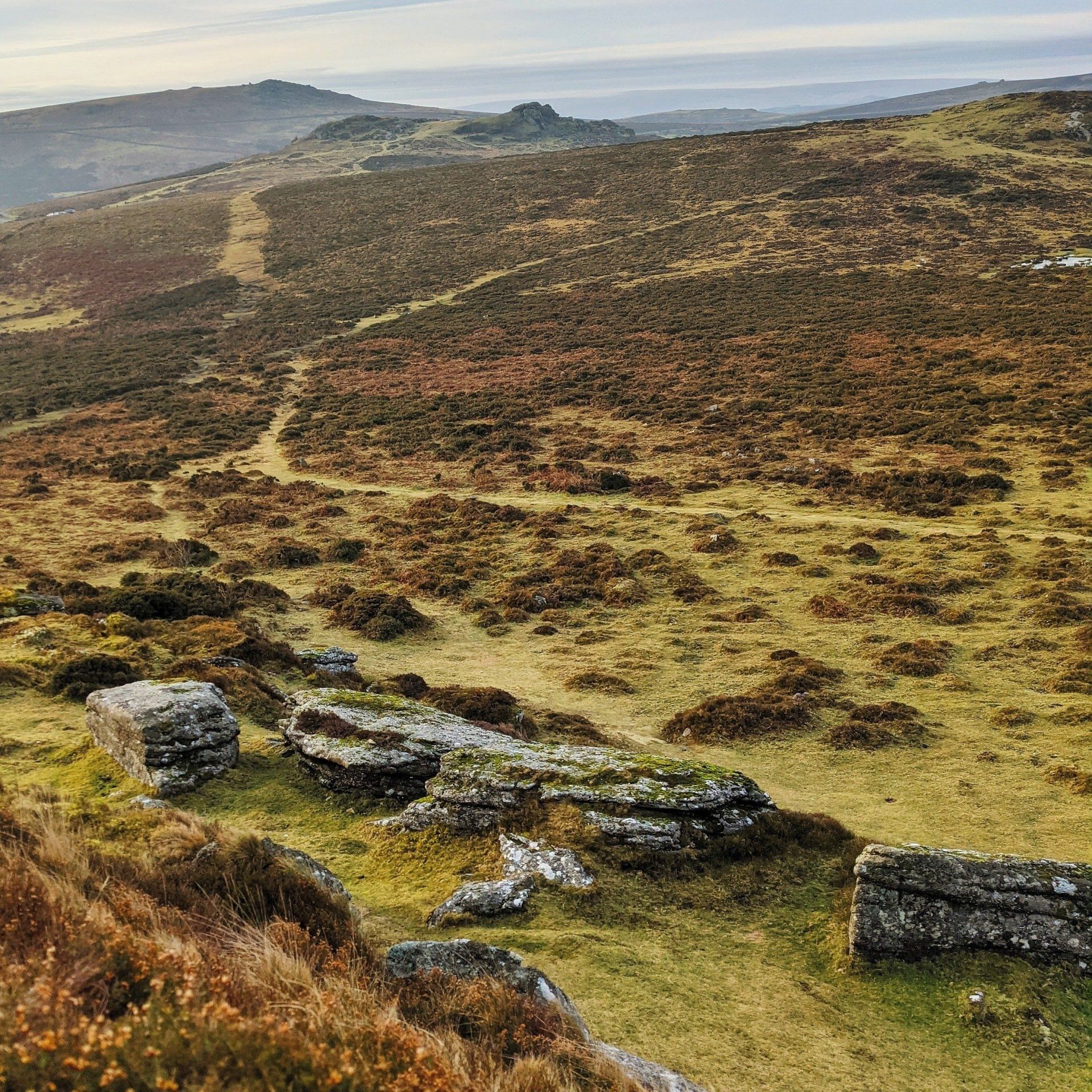 Moorland Gallery - Photograph by Sue Cartwright, Spiral Leaf