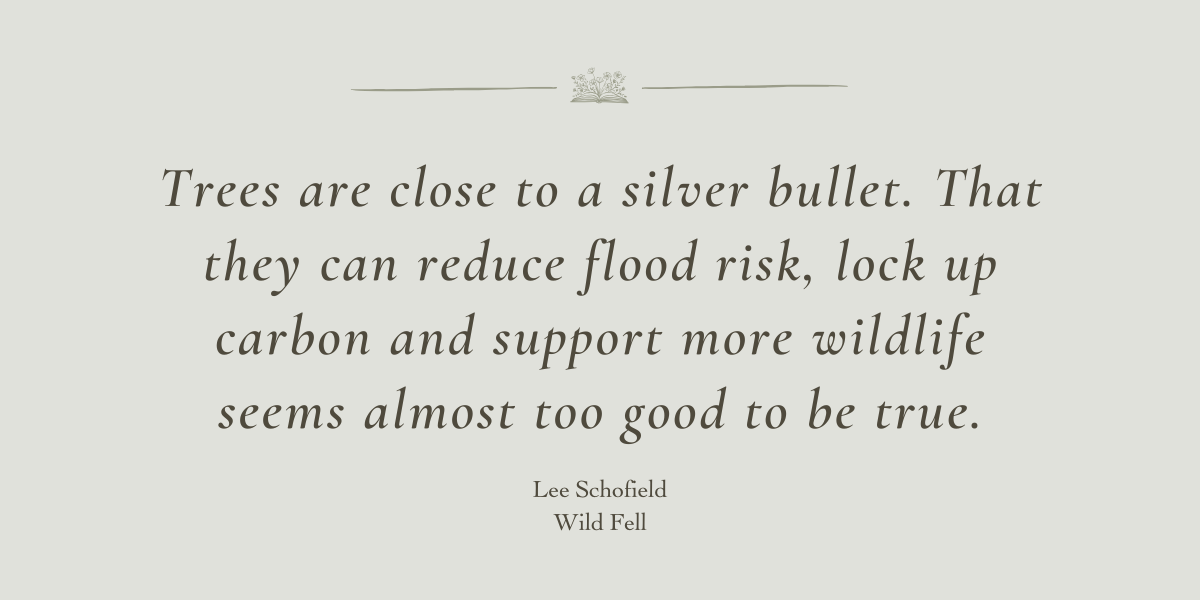 Wild Fell by Lee Schofield - A book Review by Sue Cartwright, Spiral Leaf