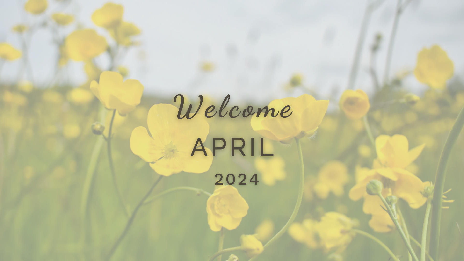 Welcome April (Almanac 2024) by Sue Cartwright, Spiral Leaf Welcome April (Almanac 2024) by Sue Cartwright, Spiral Leaf