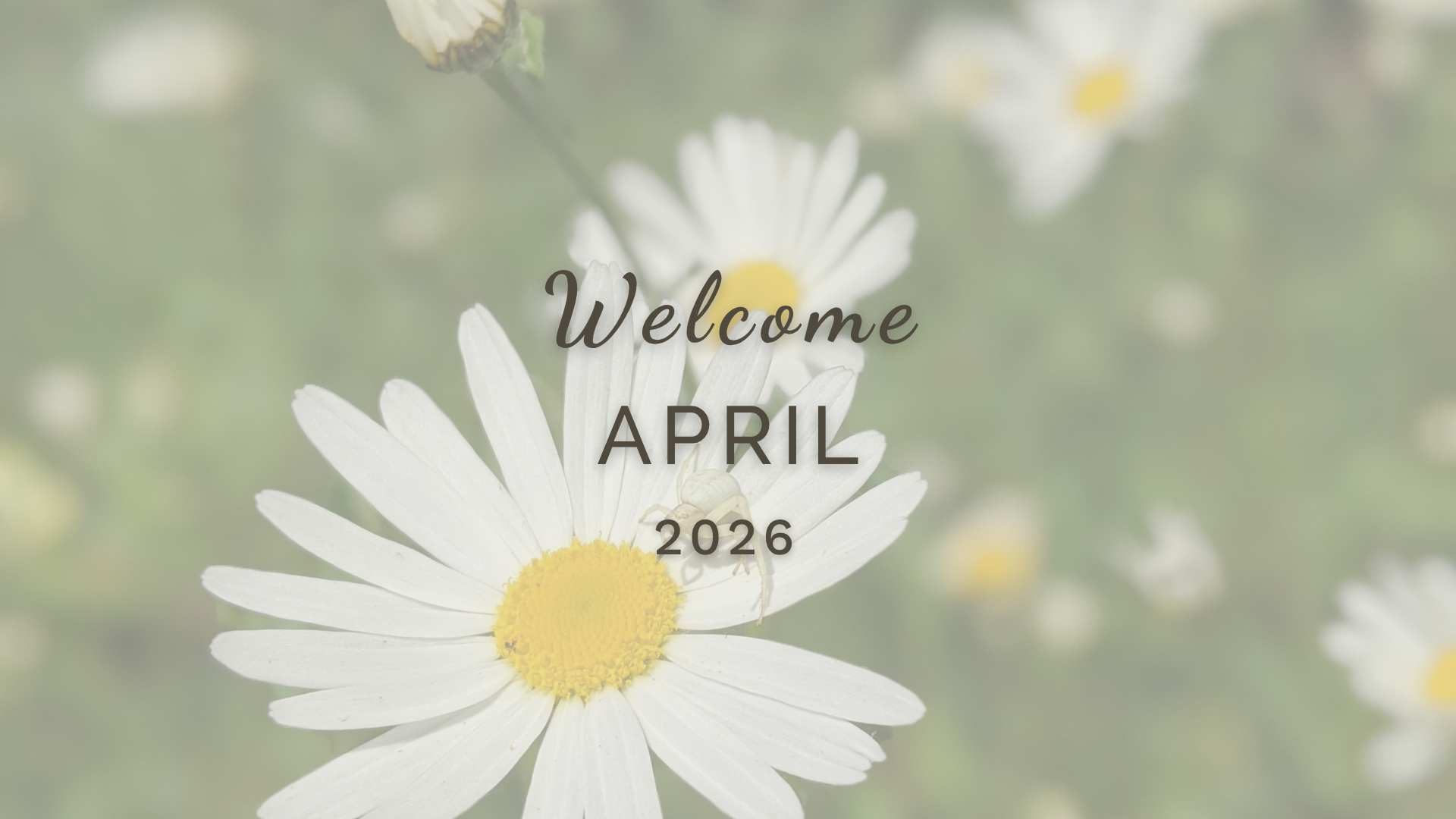 Welcome April (Almanac 2026) by Sue Cartwright, Spiral Leaf Welcome April (Almanac 2026) by Sue Cartwright, Spiral Leaf