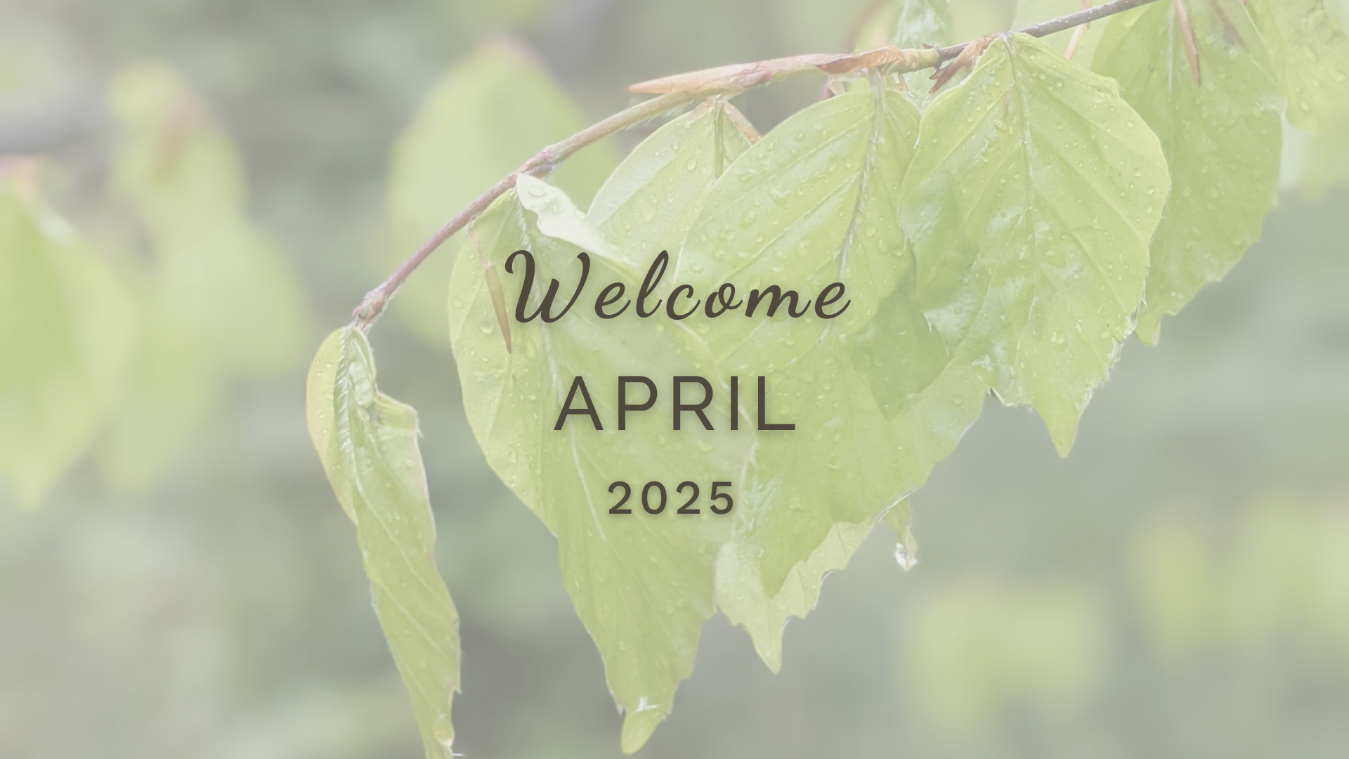 Welcome April (Almanac 2025) by Sue Cartwright, Spiral Leaf Welcome April (Almanac 2025) by Sue Cartwright, Spiral Leaf