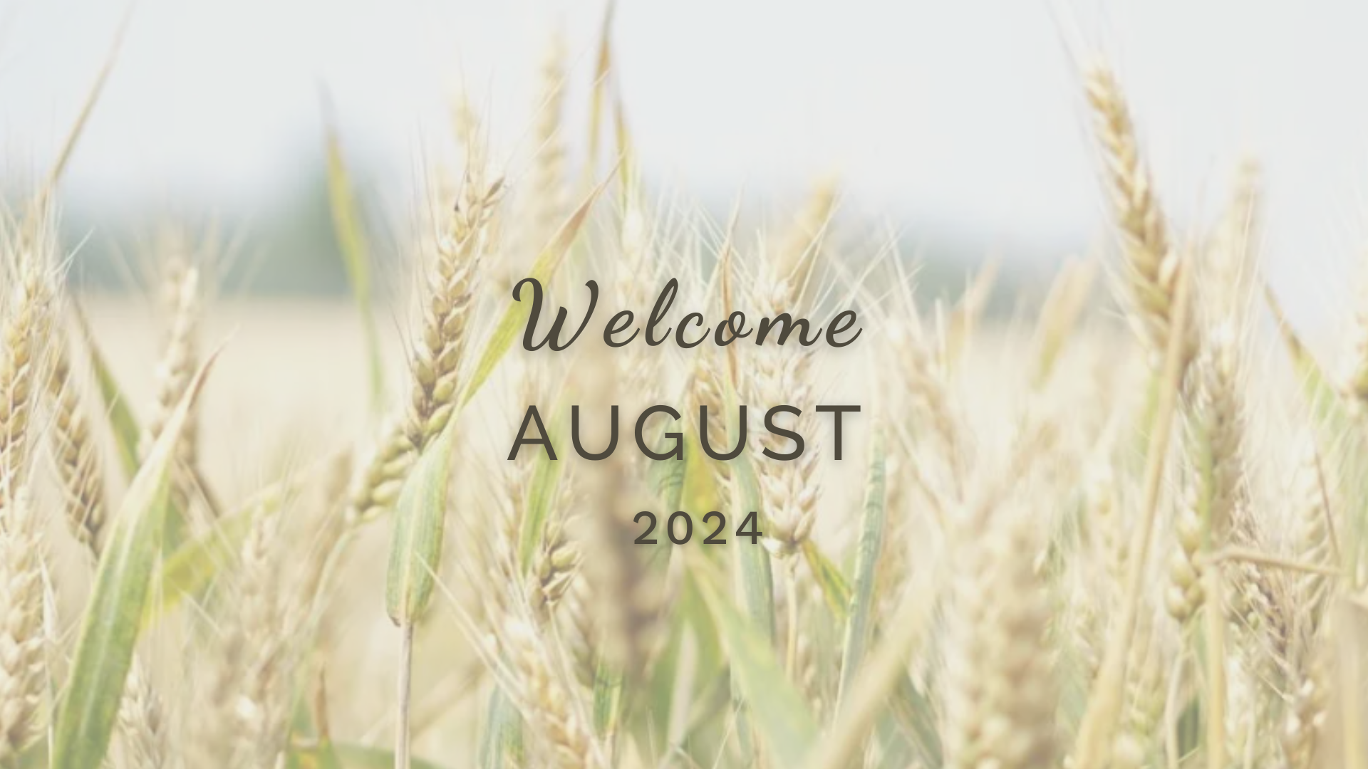 Welcome July (Almanac 2024) by Sue Cartwright, Spiral Leaf Welcome July (Almanac 2024) by Sue Cartwright, Spiral Leaf