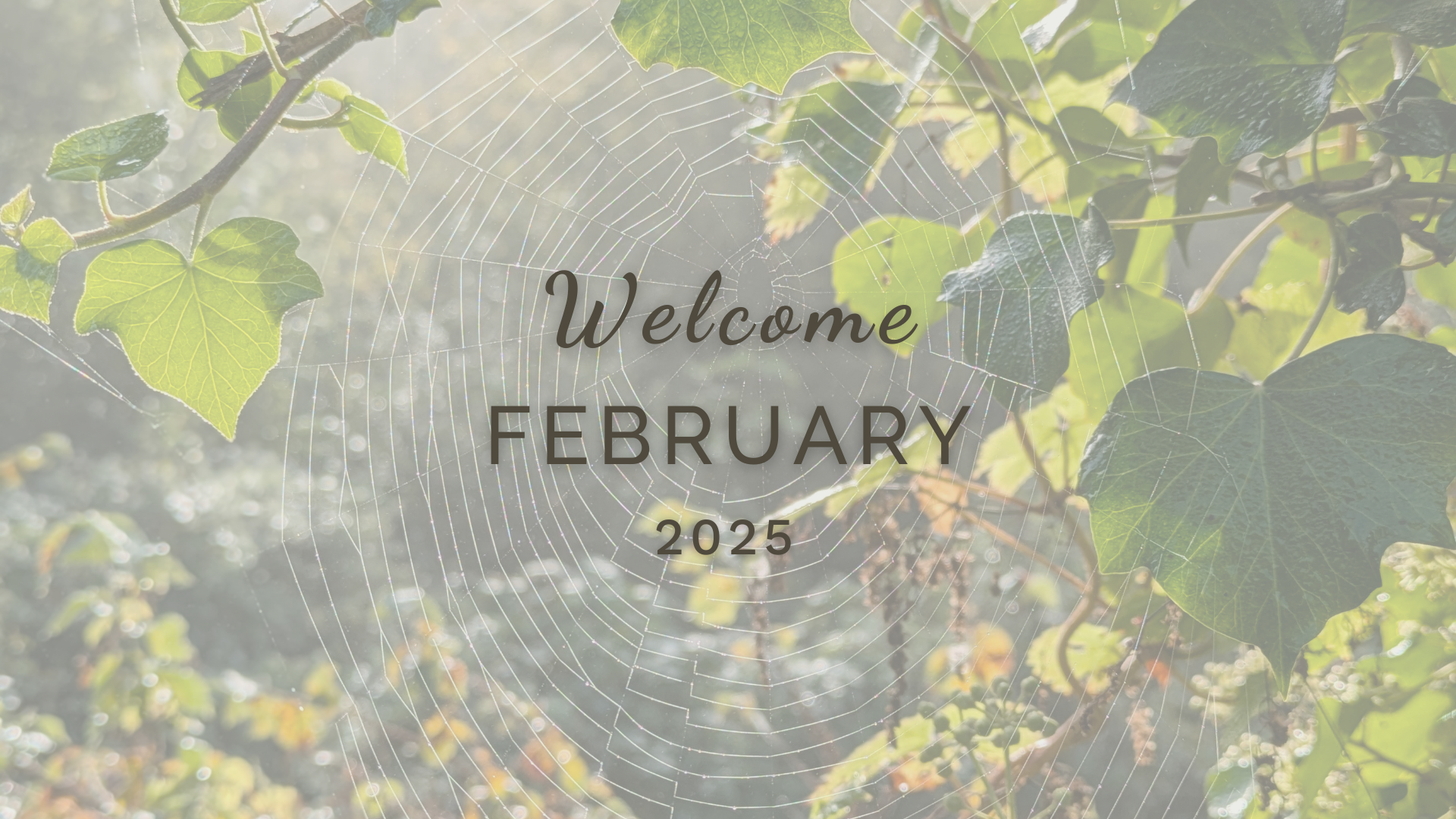 Welcome February (Almanac 2025) by Sue Cartwright, Spiral Leaf Welcome February (Almanac 2025) by Sue Cartwright, Spiral Leaf