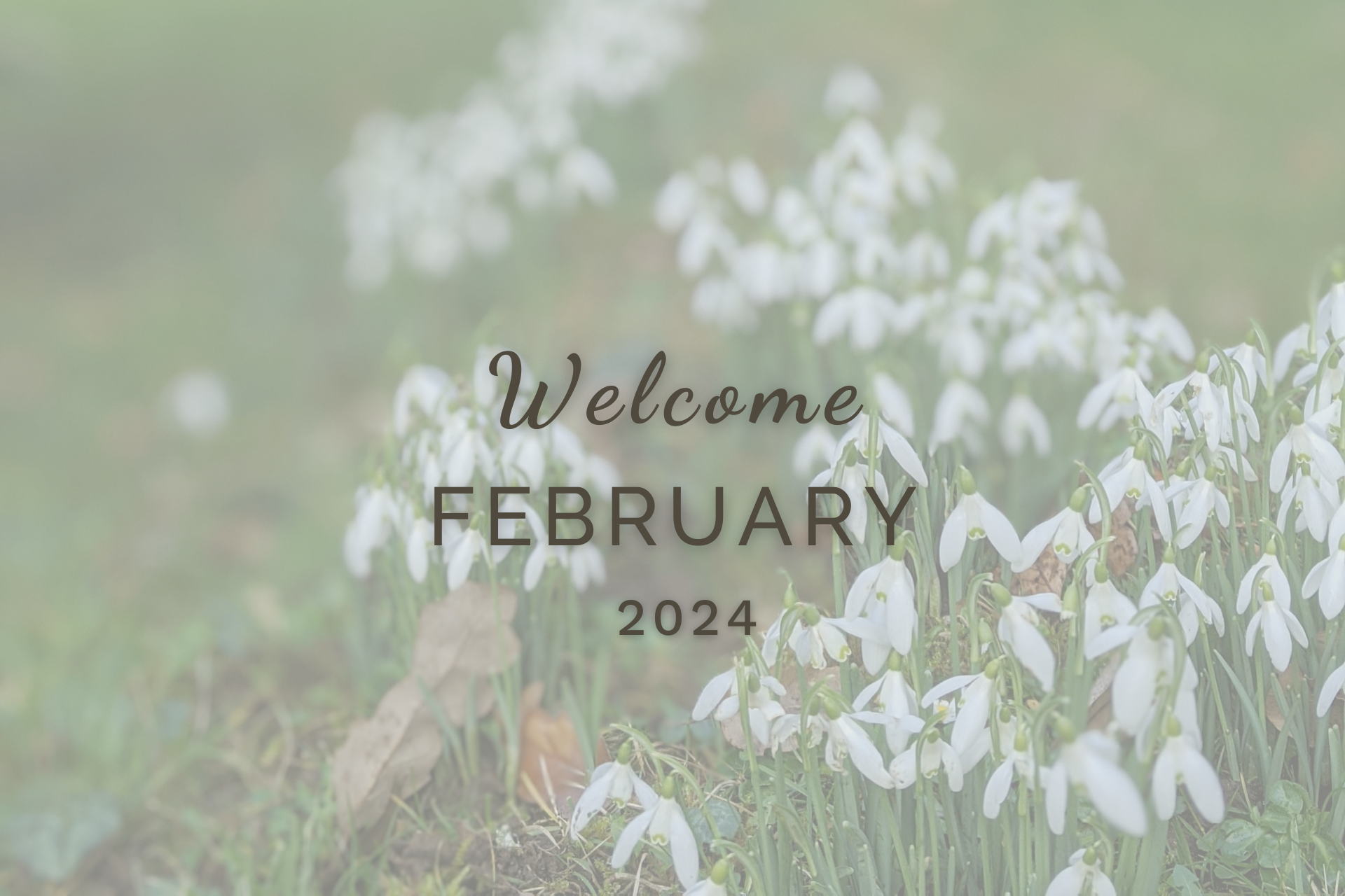 Welcome February by Sue Cartwright, Spiral Leaf Welcome February (Almanac 2024) by Sue Cartwright, Spiral Leaf