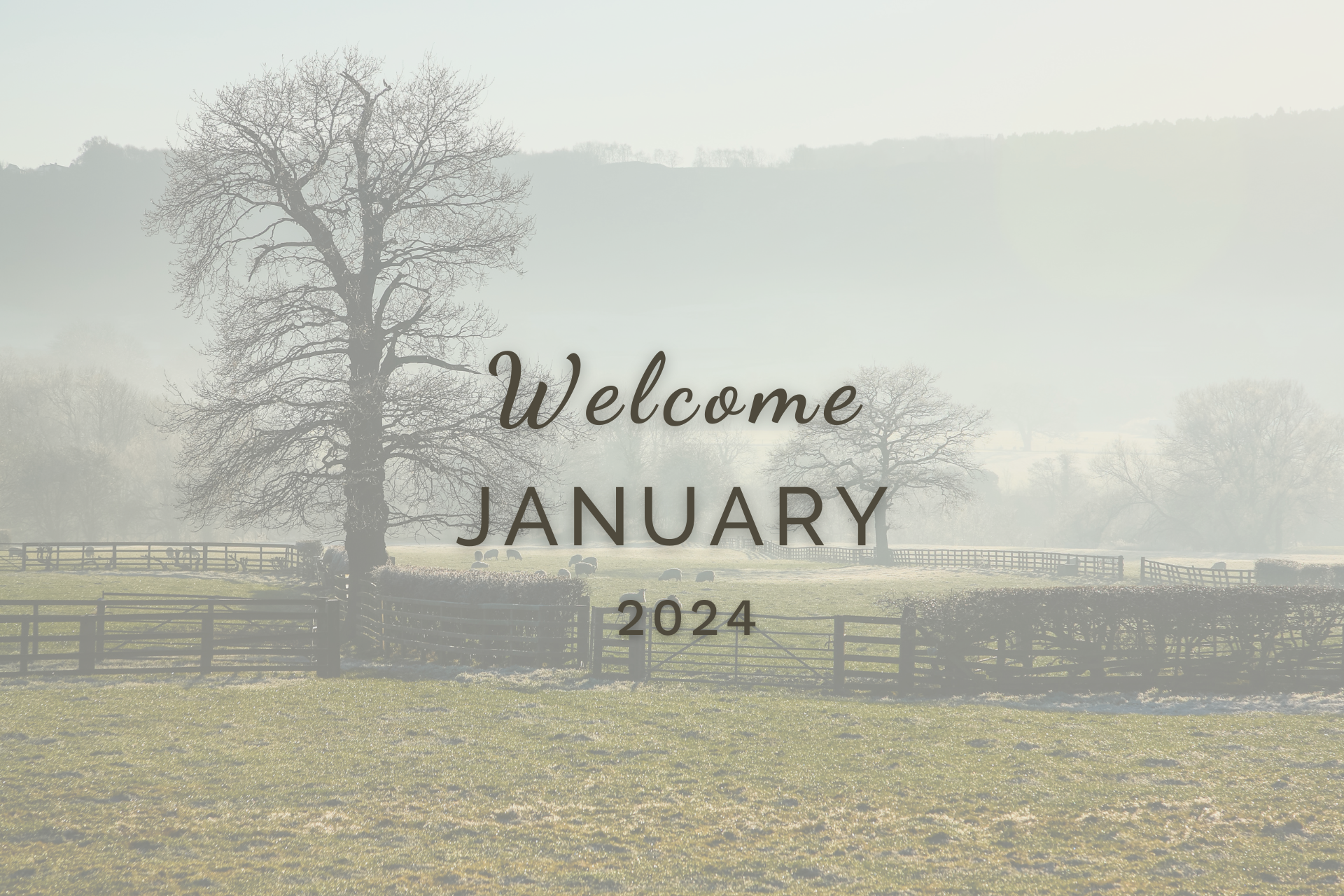 Welcome January (Almanac 2024) by Sue Cartwright, Spiral Leaf