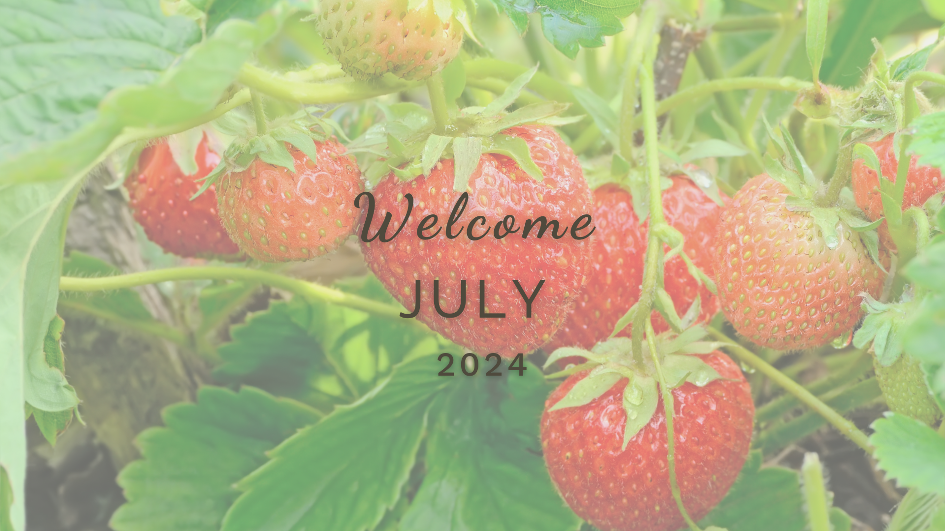 Welcome July (Almanac 2024) by Sue Cartwright, Spiral Leaf Welcome July (Almanac 2024) by Sue Cartwright, Spiral Leaf