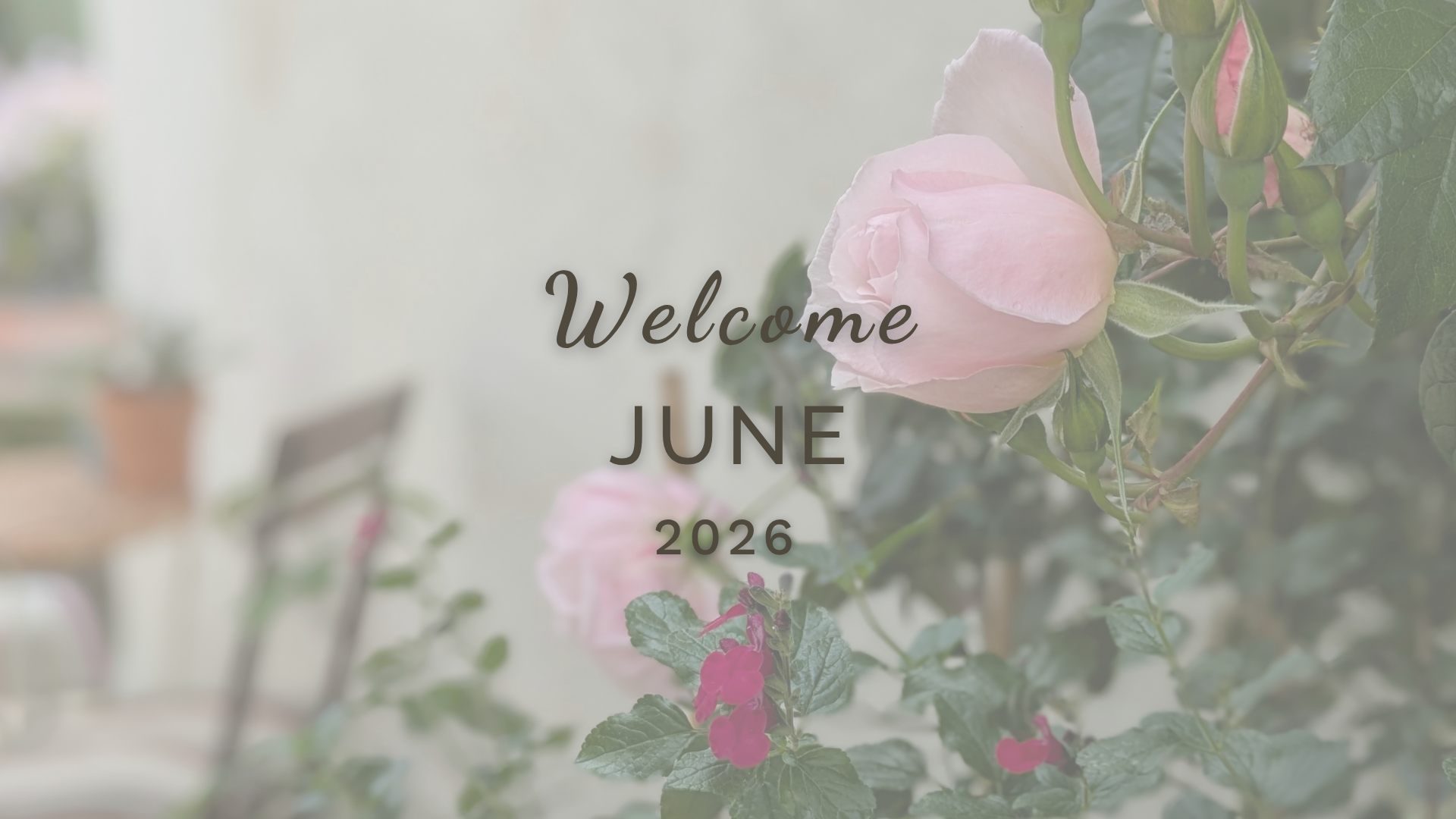 Welcome June (Almanac 2026) by Sue Cartwright, Spiral Leaf Welcome June (Almanac 2026) by Sue Cartwright, Spiral Leaf