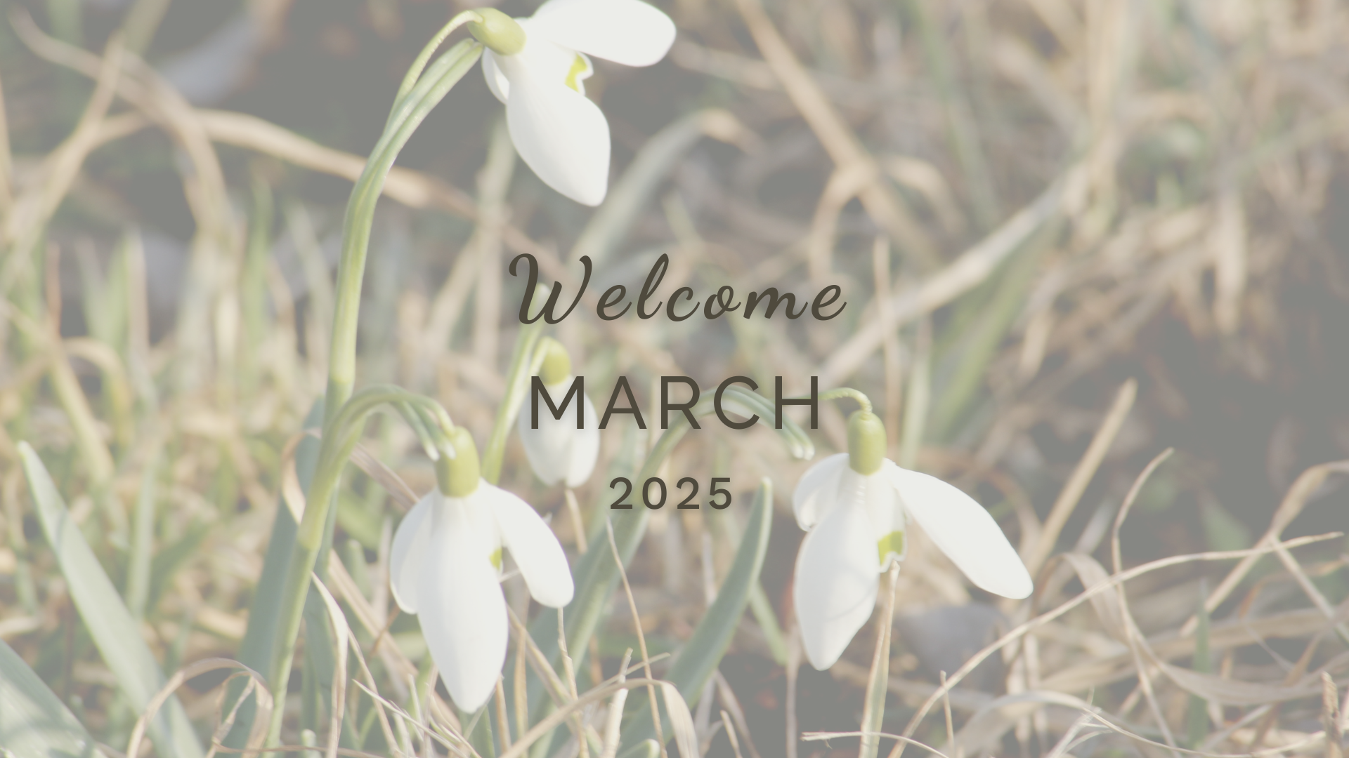 Welcome March (Almanac 2025) by Sue Cartwright, Spiral Leaf Welcome March (Almanac 2025) by Sue Cartwright, Spiral Leaf