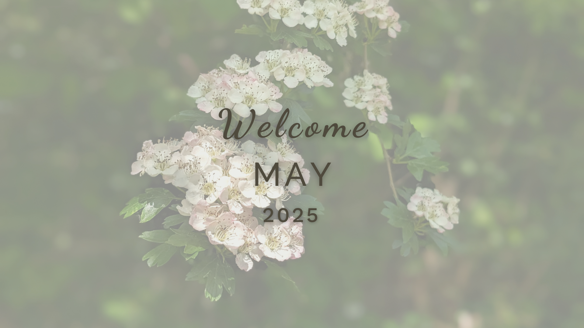 Welcome May (Almanac 2025) by Sue Cartwright, Spiral Leaf Welcome May (Almanac 2025) by Sue Cartwright, Spiral Leaf