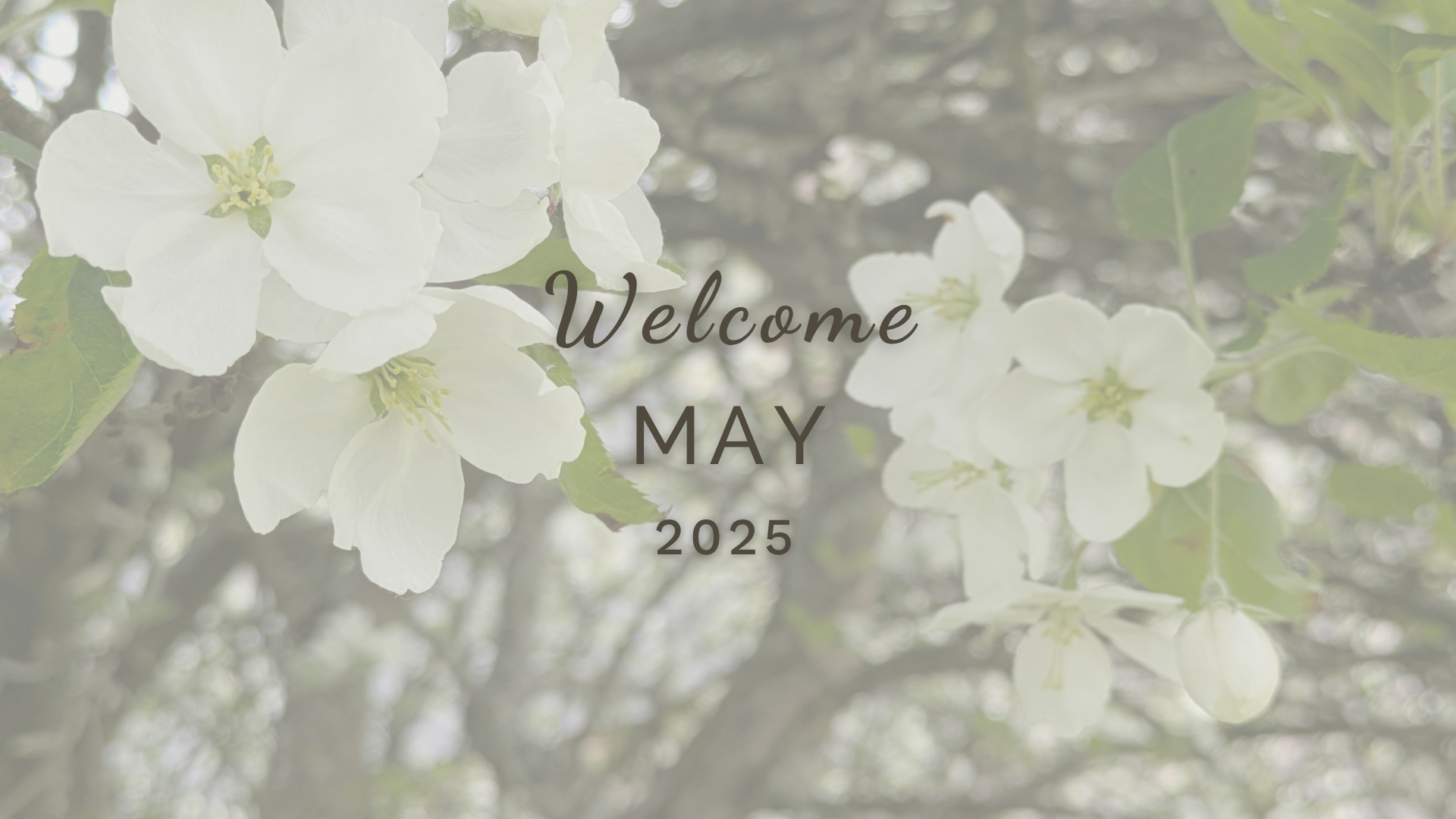 Welcome May (Almanac 2026) by Sue Cartwright, Spiral Leaf Welcome May (Almanac 2026) by Sue Cartwright, Spiral Leaf