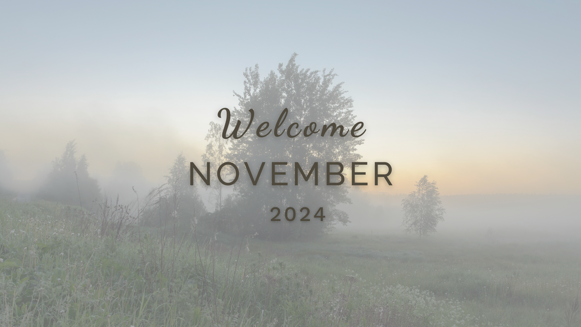 Welcome November (Almanac 2024) by Sue Cartwright, Spiral Leaf Welcome November (Almanac 2024) by Sue Cartwright, Spiral Leaf