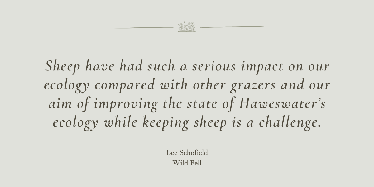 Wild Fell by Lee Schofield - A book Review by Sue Cartwright, Spiral Leaf