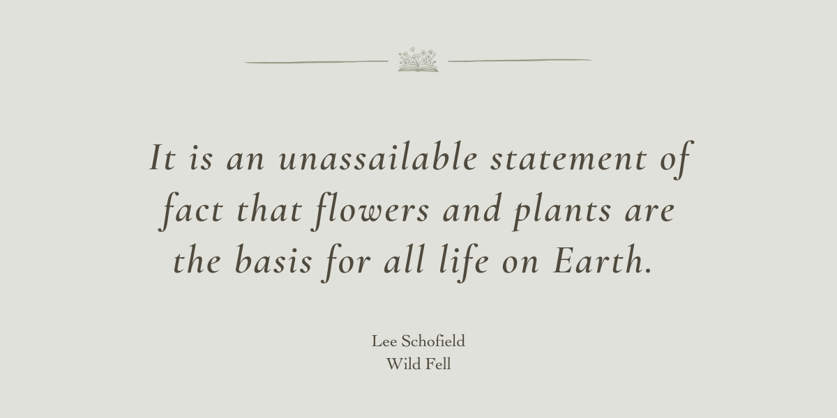 Wild Fell by Lee Schofield - A book Review by Sue Cartwright, Spiral Leaf