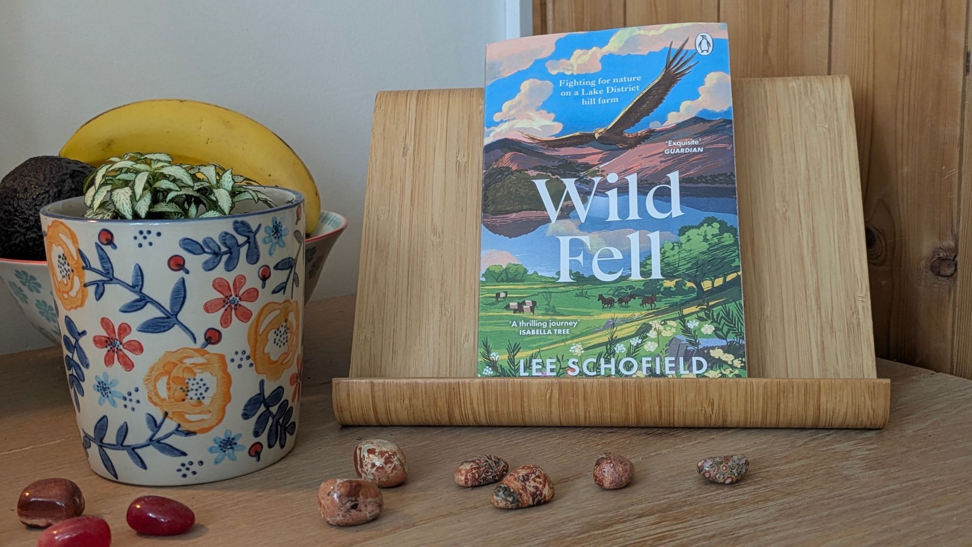 Wild Fell by Lee Schofield - A book Review by Sue Cartwright, Spiral Leaf