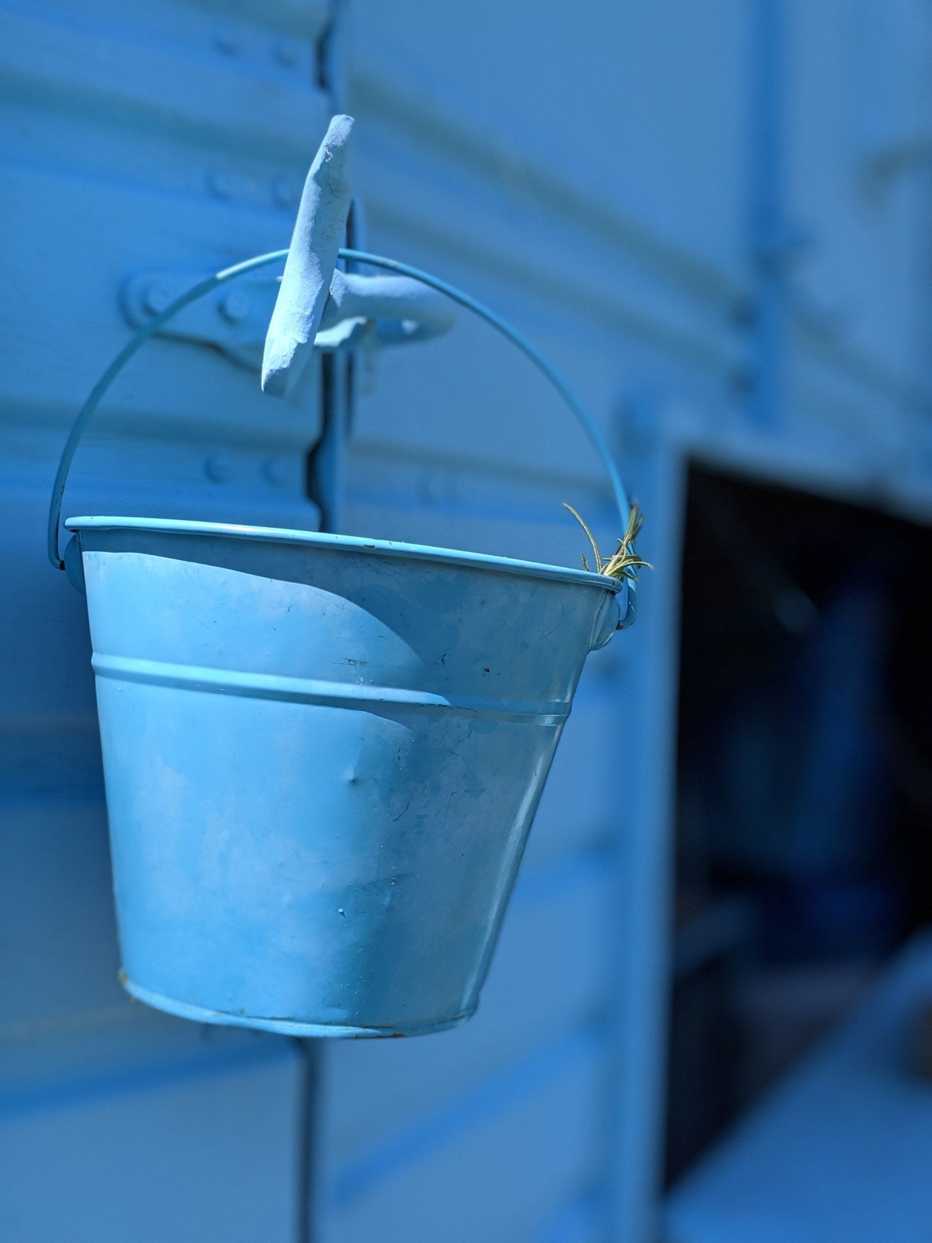 Seaside Gallery - Photograph by Sue Cartwright, Spiral Leaf