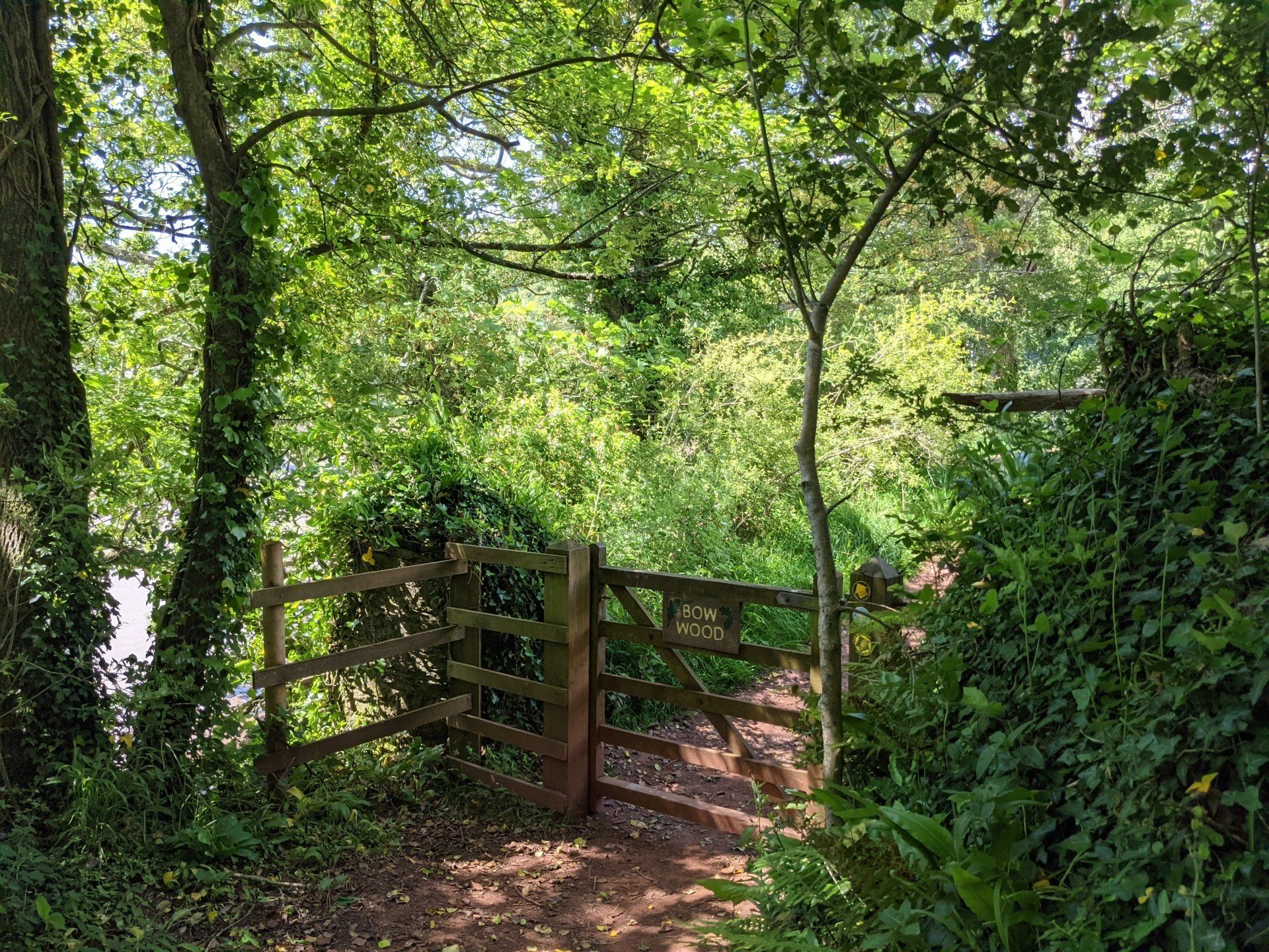 Where to Find Nature by Sue Cartwright, Spiral Leaf