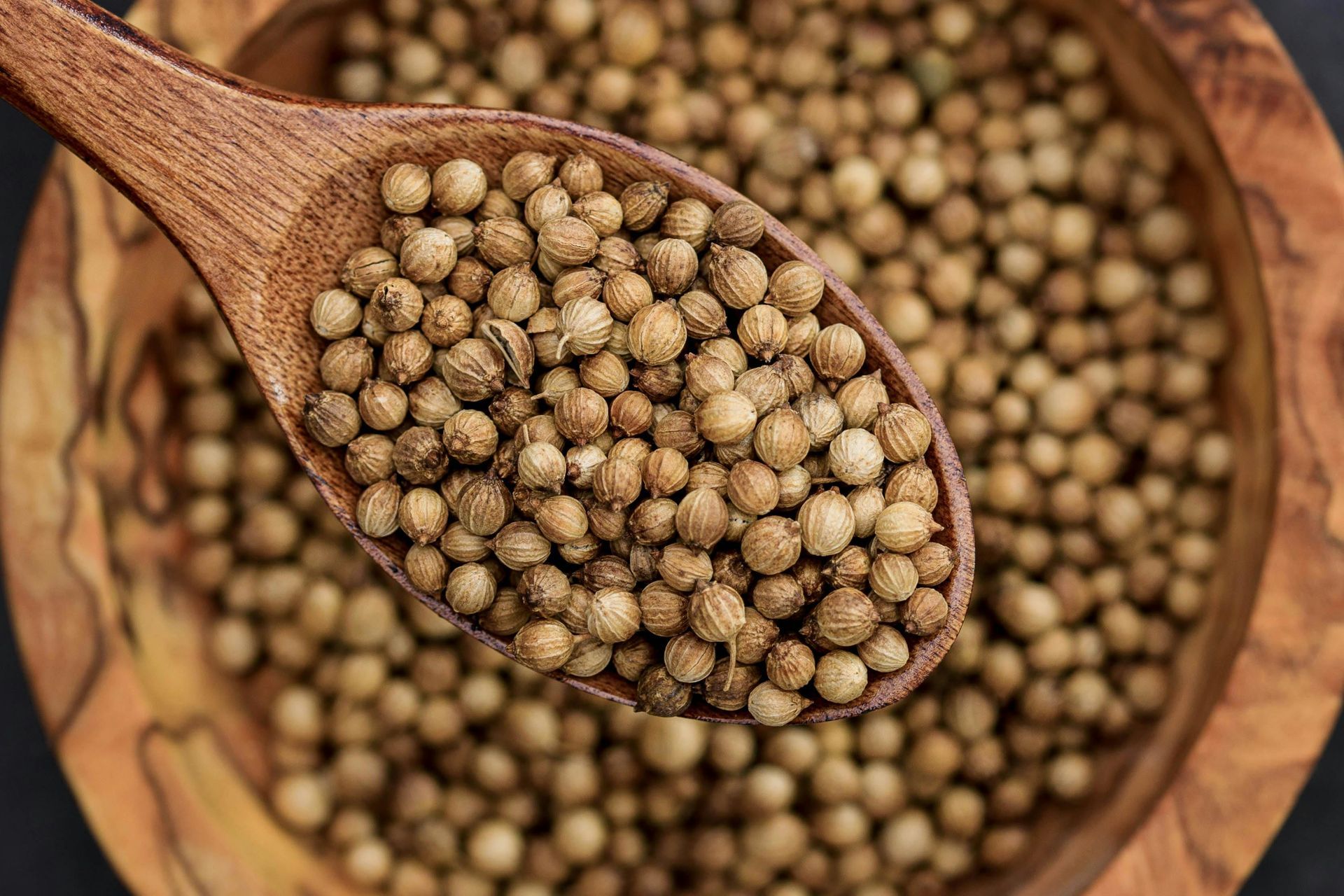 A Healing Herb (Coriander) by Sue Cartwright, Spiral Leaf