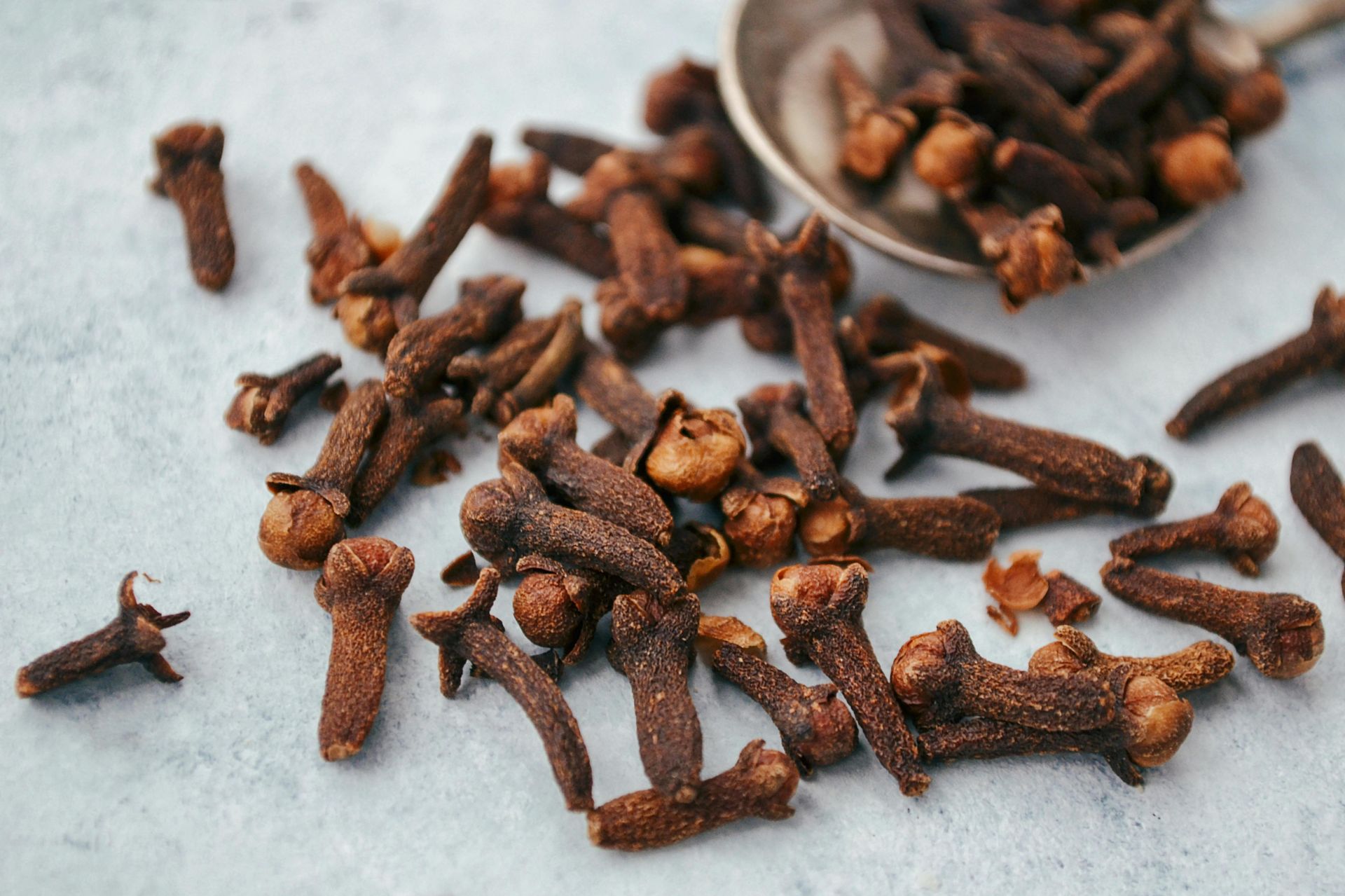 A Healing Spice (Cloves) by Sue Cartwright, Spiral Leaf