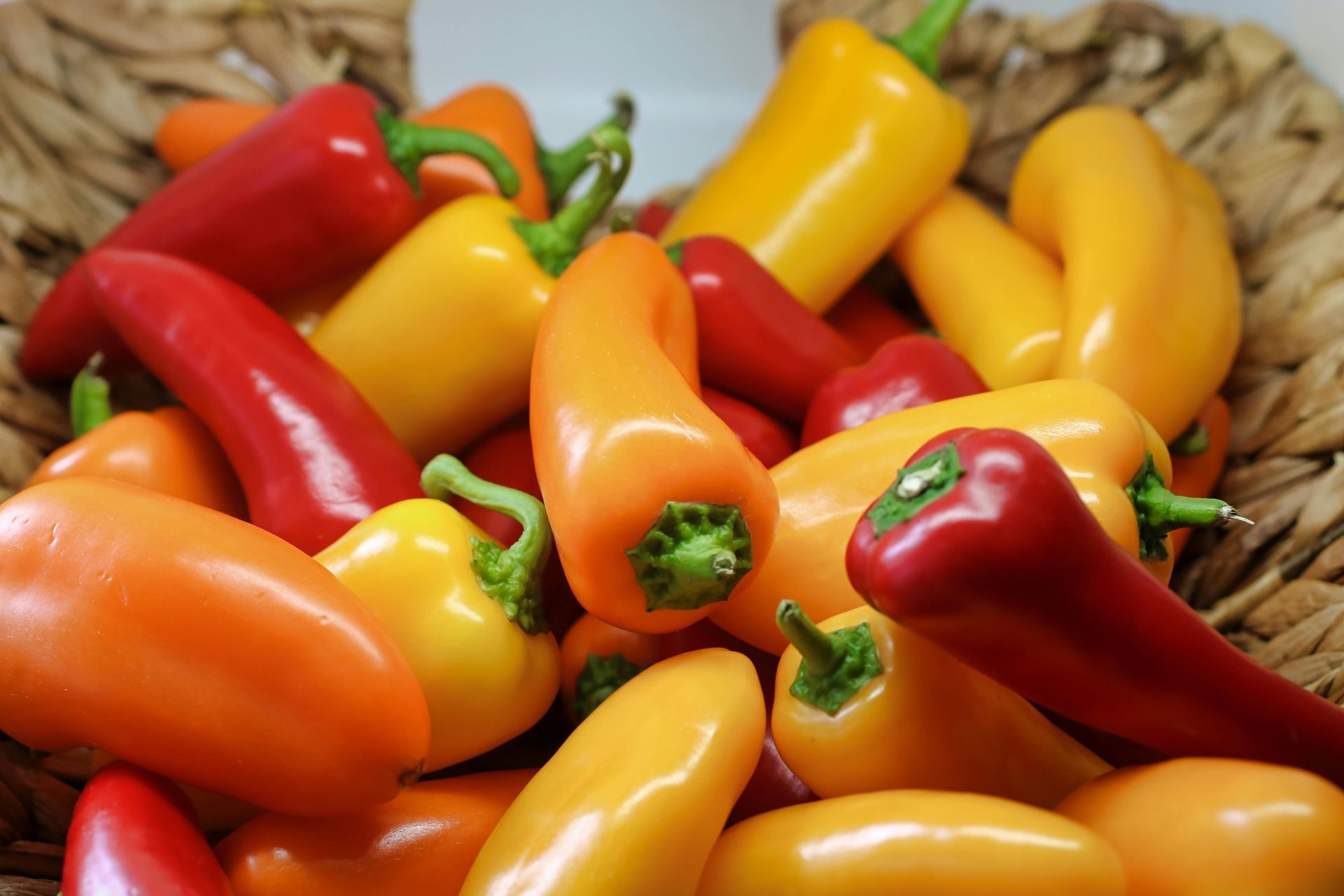 A Healing Spice (Paprika) by Sue Cartwright, Spiral Leaf