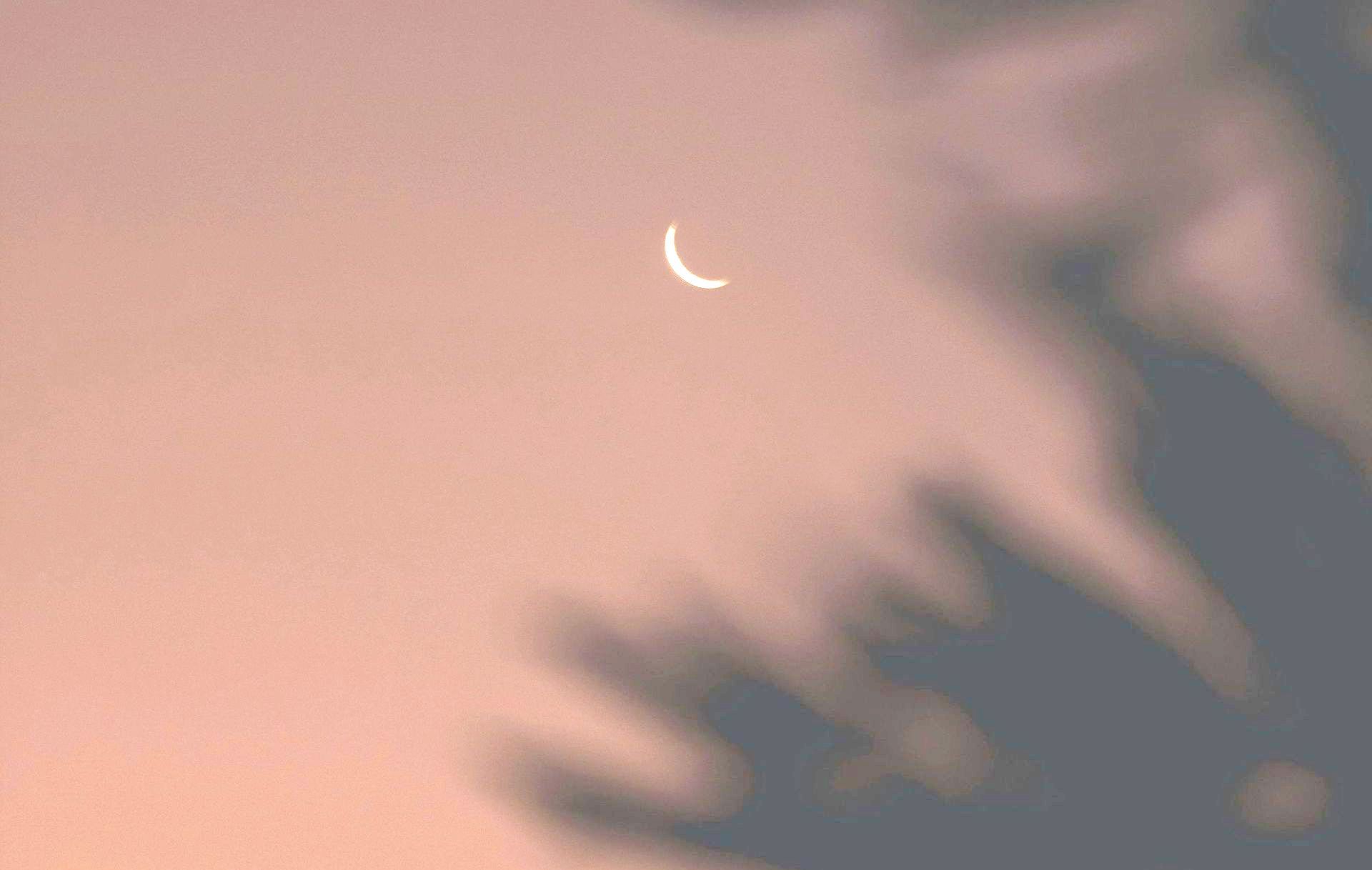 New Worm Moon in Pisces - Friday 28 February by Sue Cartwright, Spiral Leaf New Worm Moon in Pisces - Friday 28 February (2025) by Sue Cartwright, Spiral Leaf