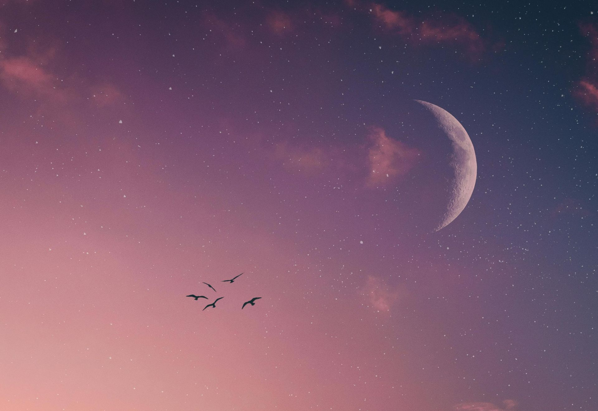New Hunter's Moon in Virgo - Sunday 21 September (2025) by Sue Cartwright, Spiral Leaf